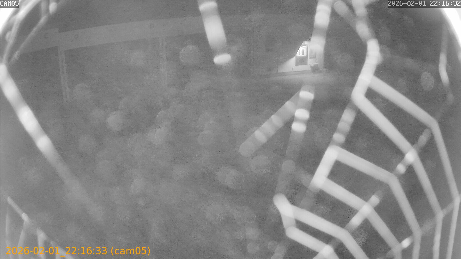 thumbnail_20260201221633