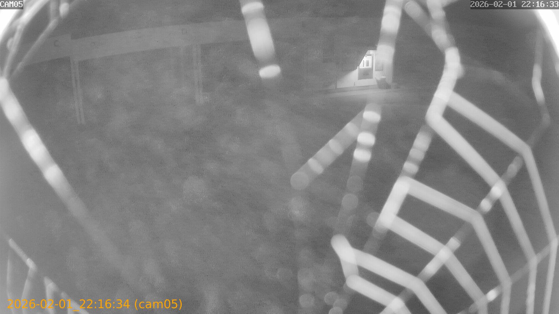 thumbnail_20260201221634