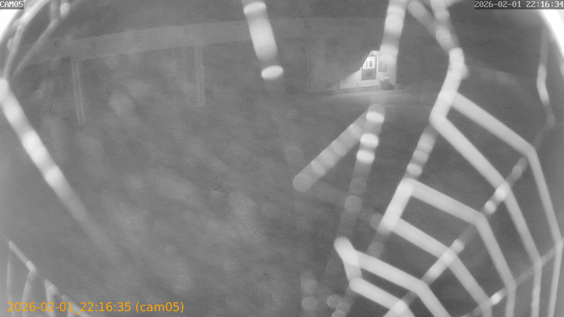 thumbnail_20260201221635