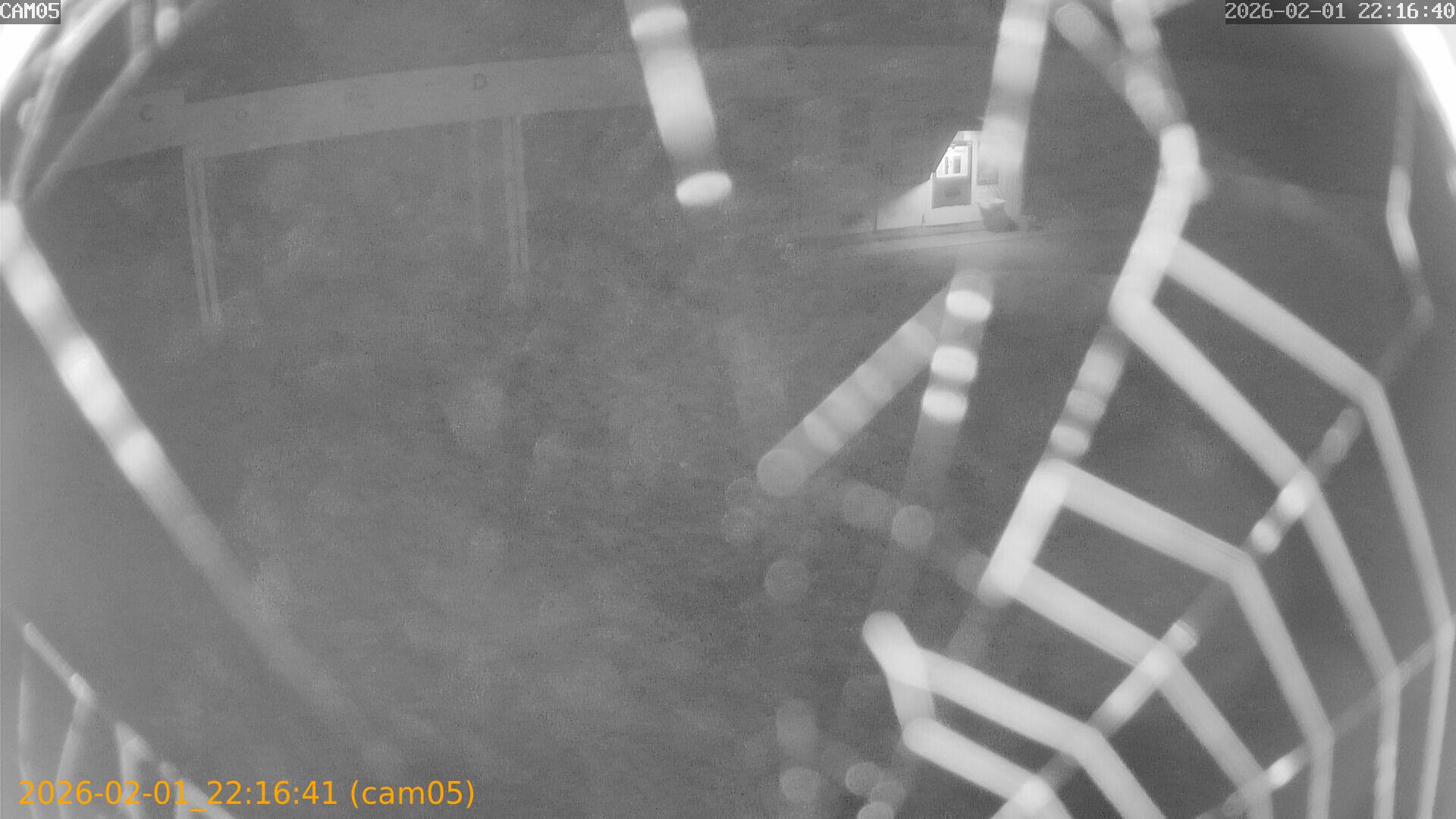 thumbnail_20260201221641