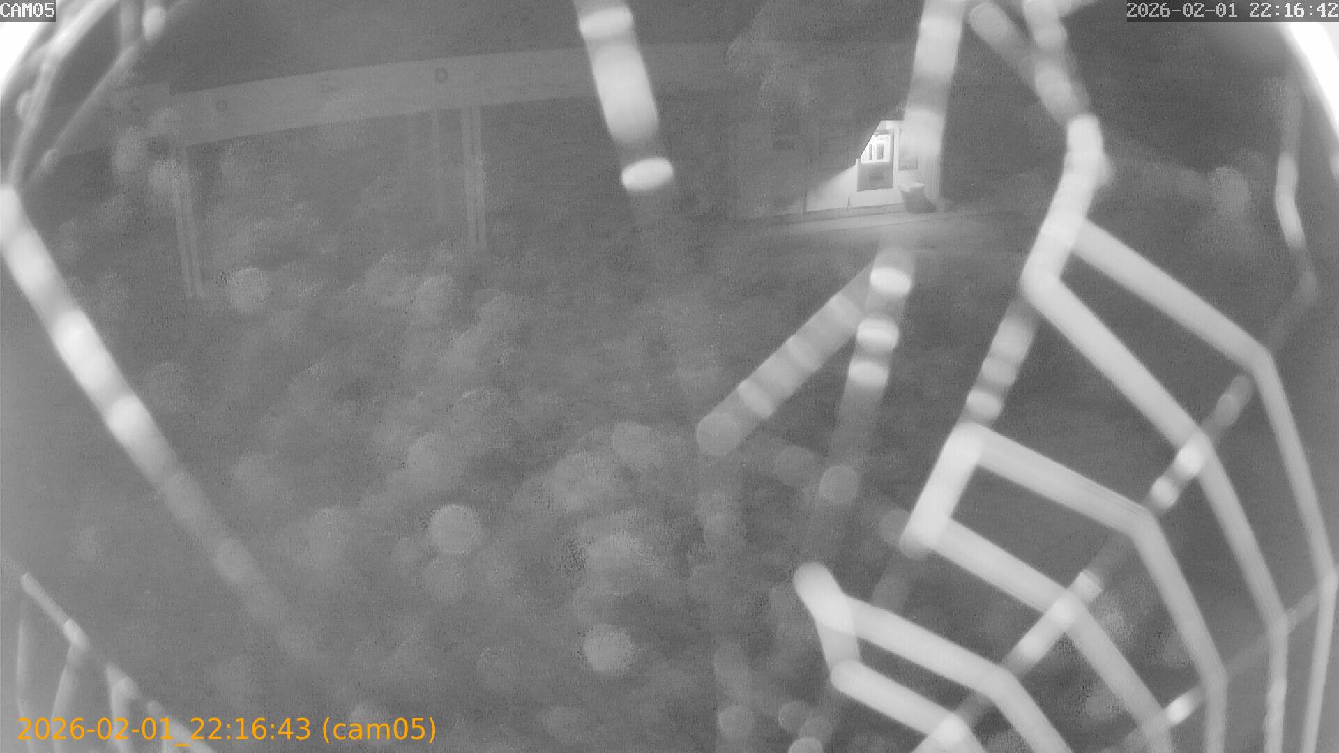 thumbnail_20260201221643