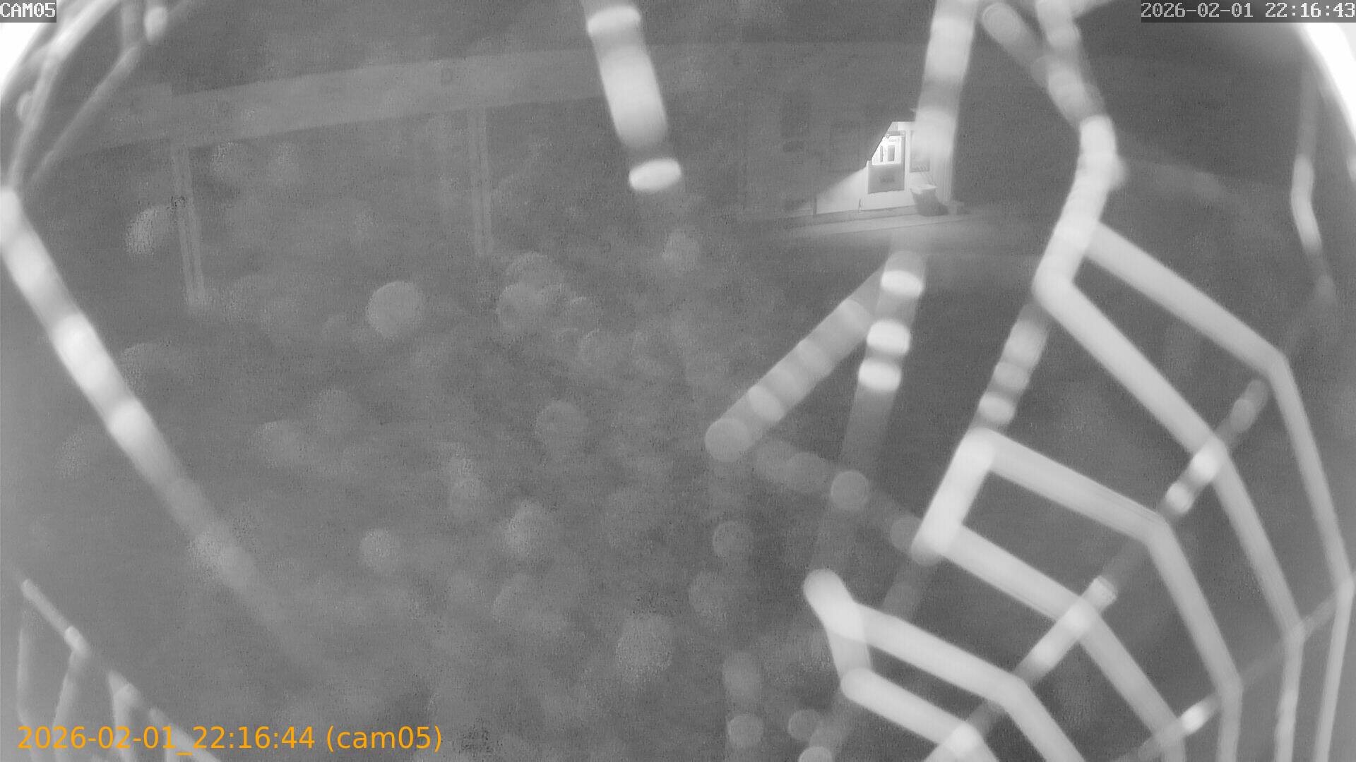 thumbnail_20260201221644