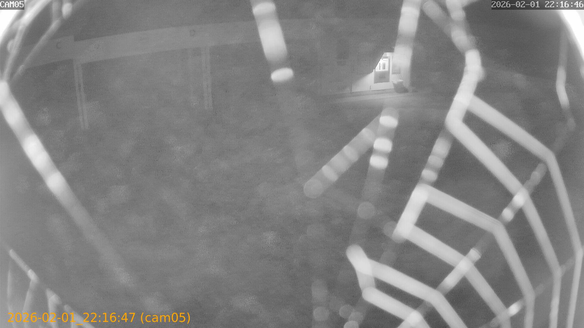 thumbnail_20260201221647