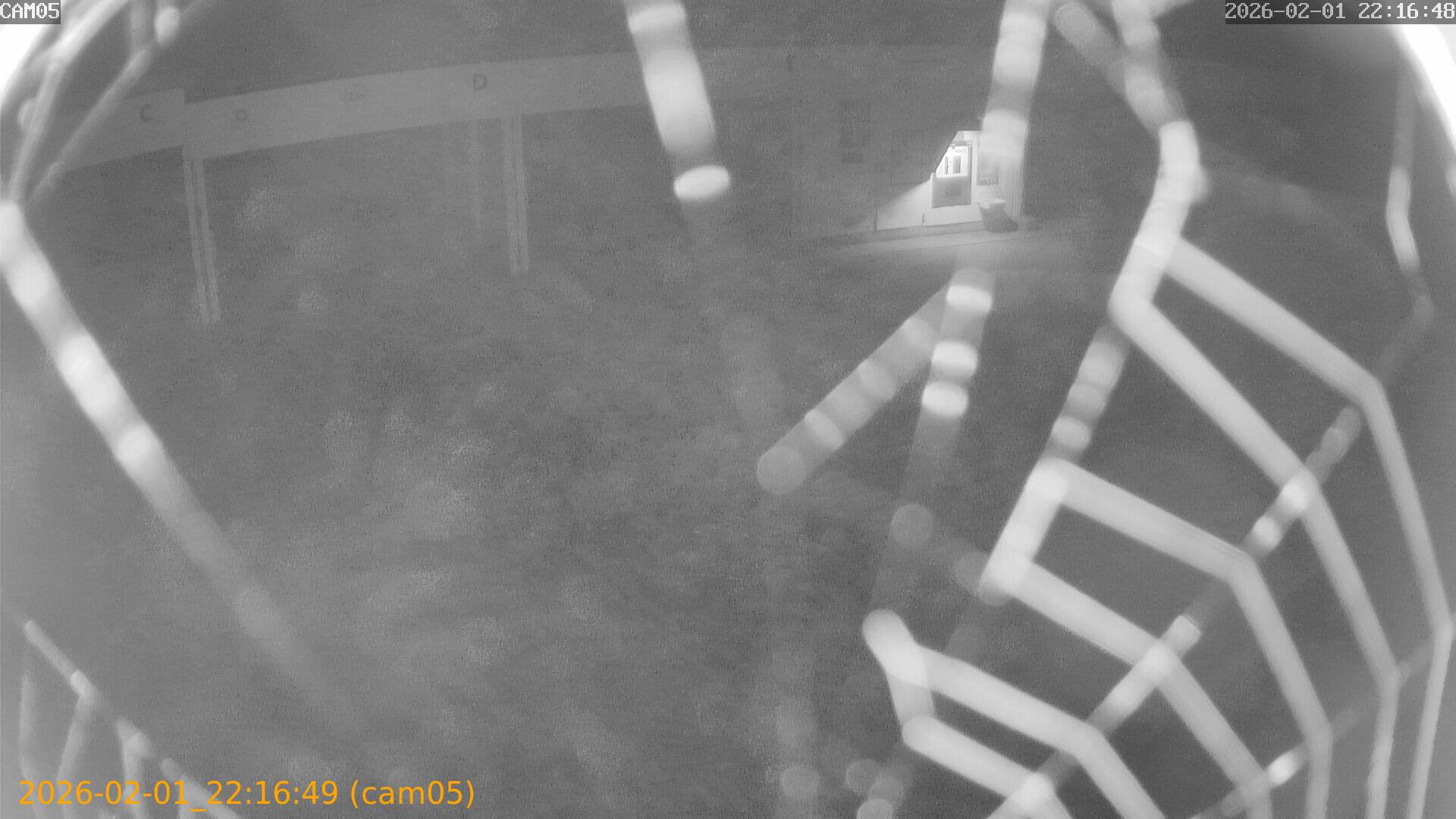 thumbnail_20260201221649