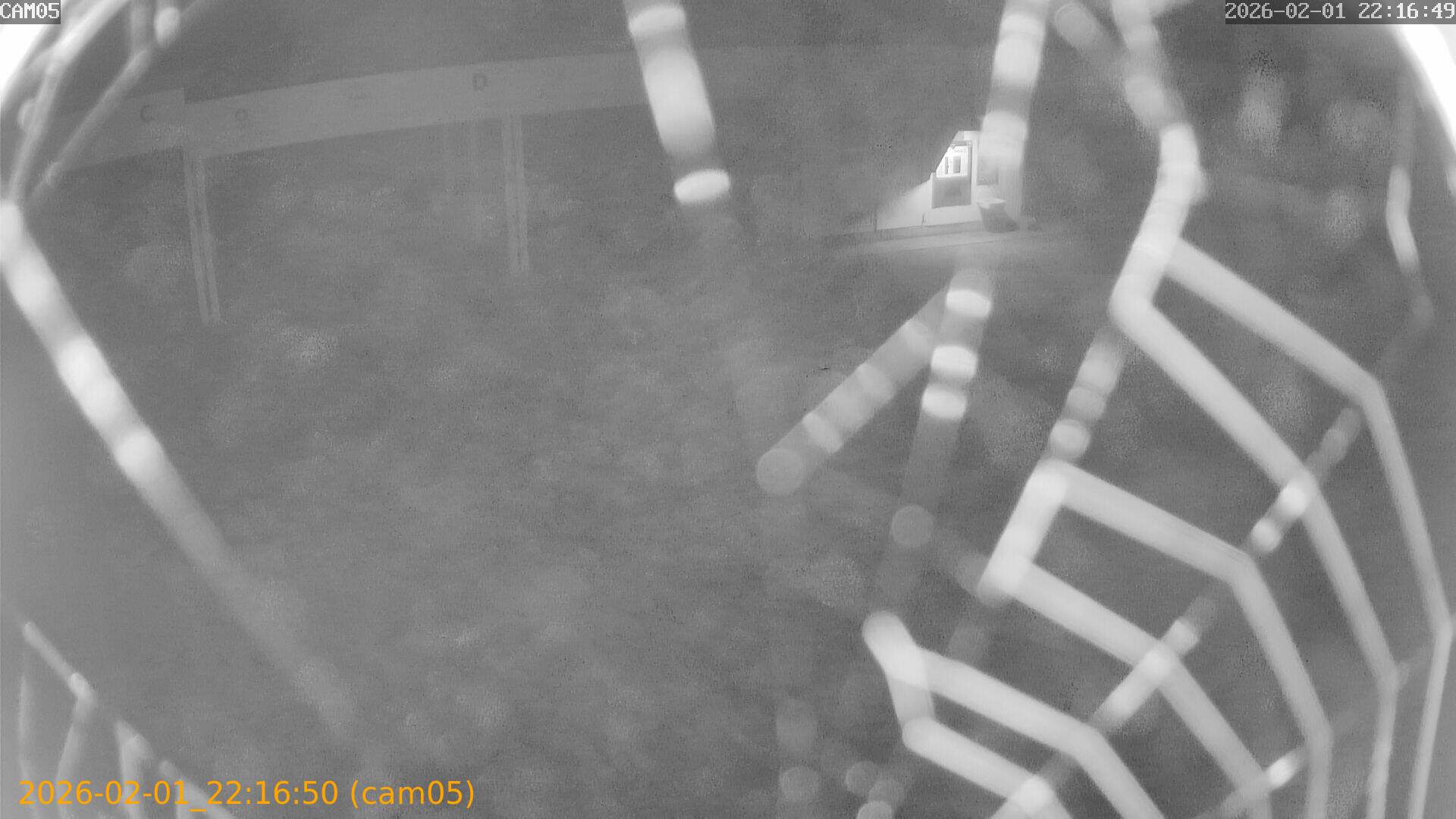 thumbnail_20260201221650