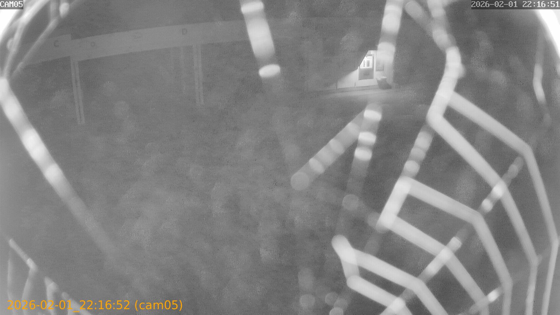 thumbnail_20260201221652