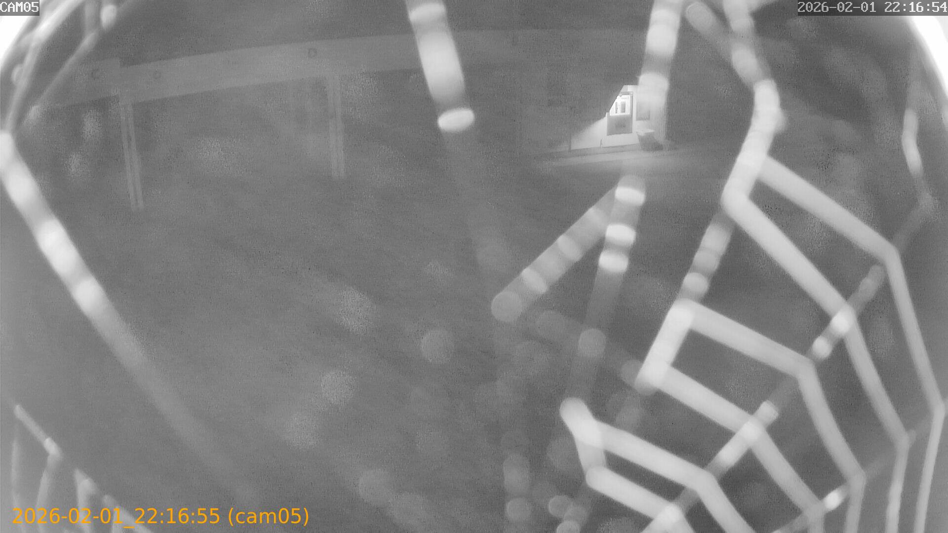 thumbnail_20260201221655