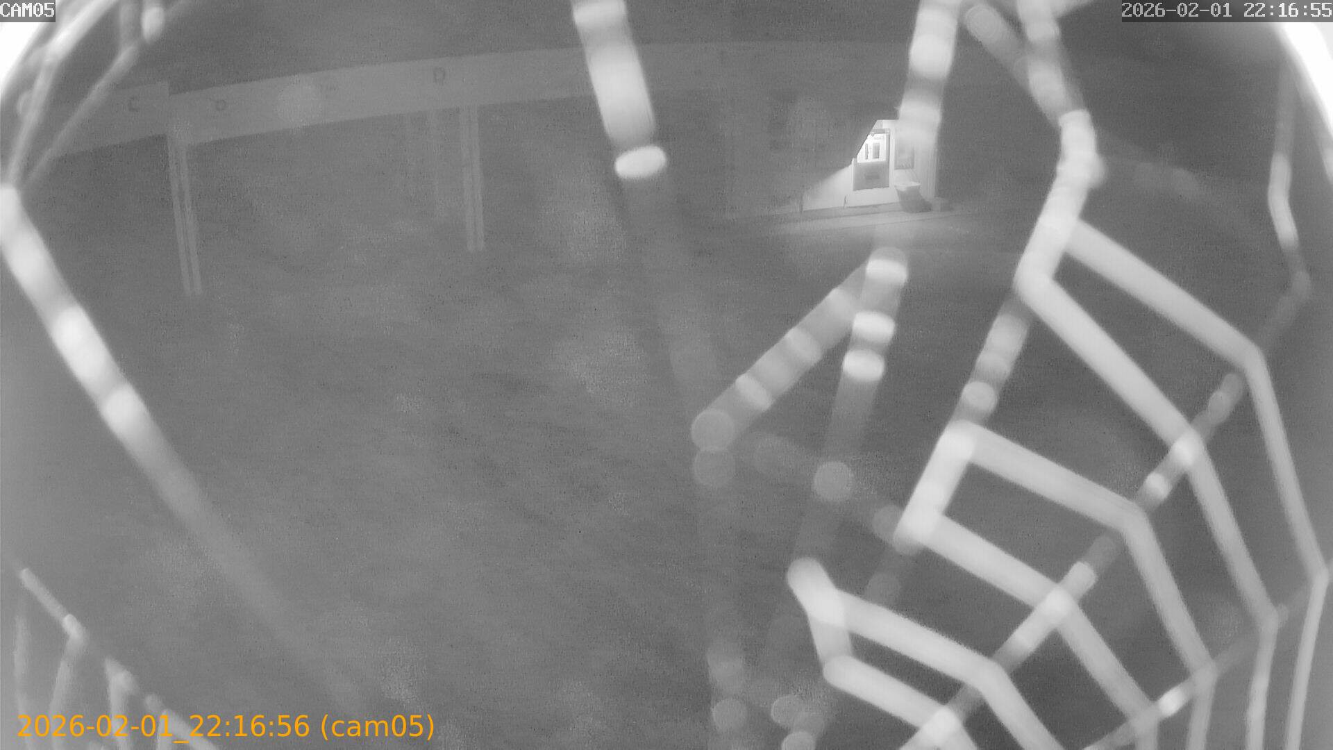 thumbnail_20260201221656