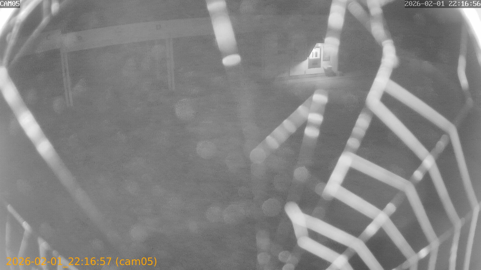 thumbnail_20260201221657