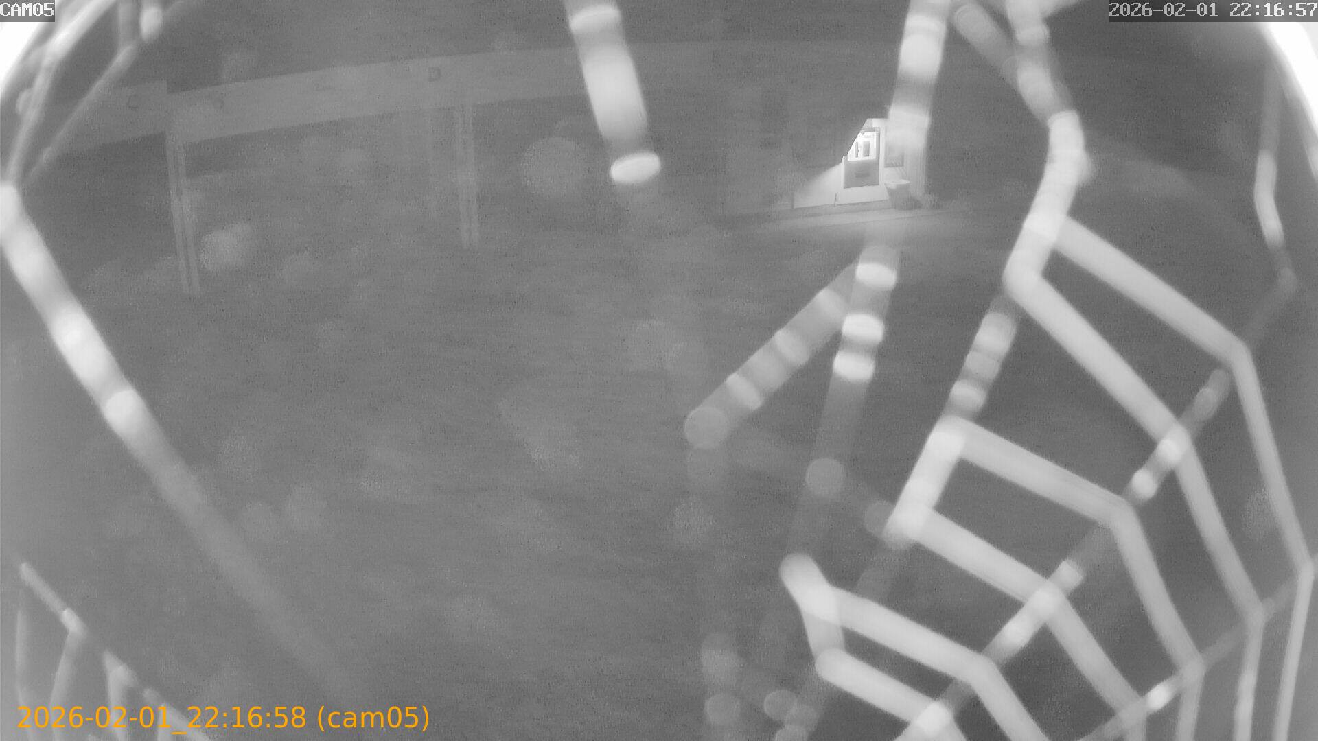 thumbnail_20260201221658