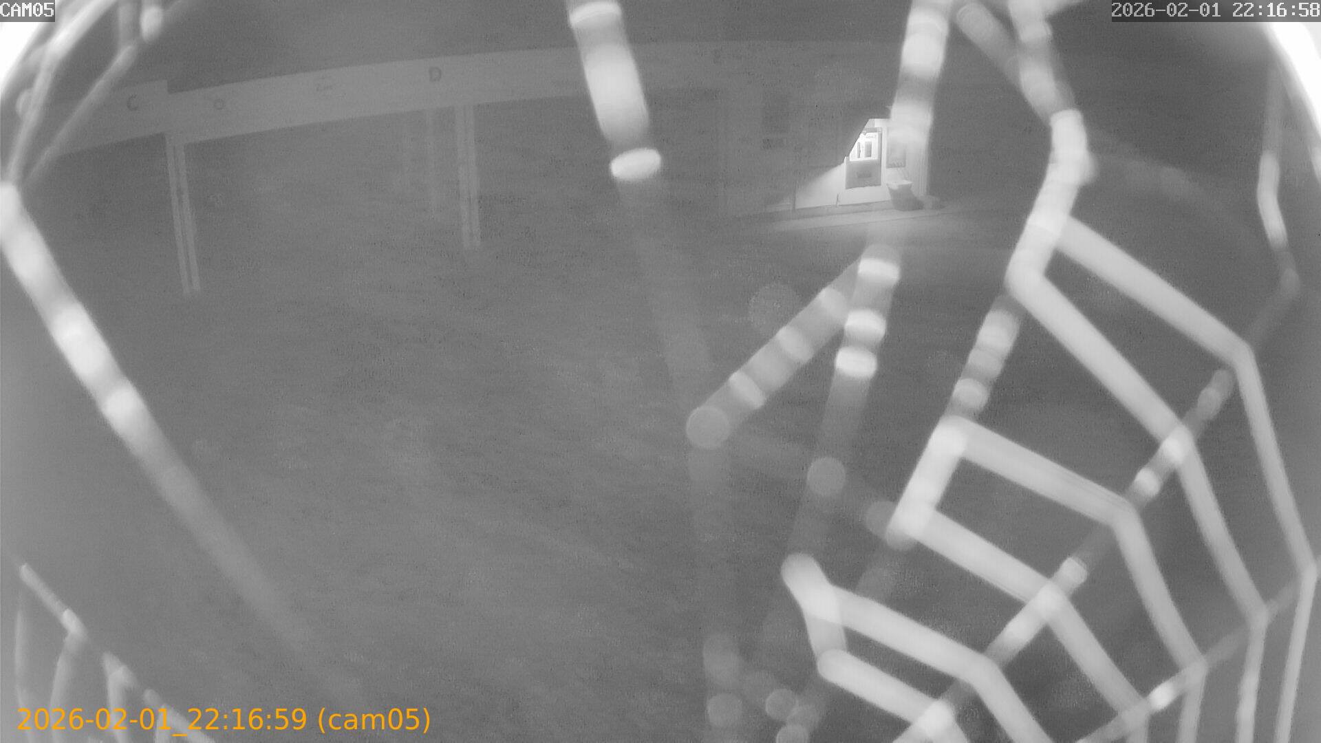 thumbnail_20260201221659