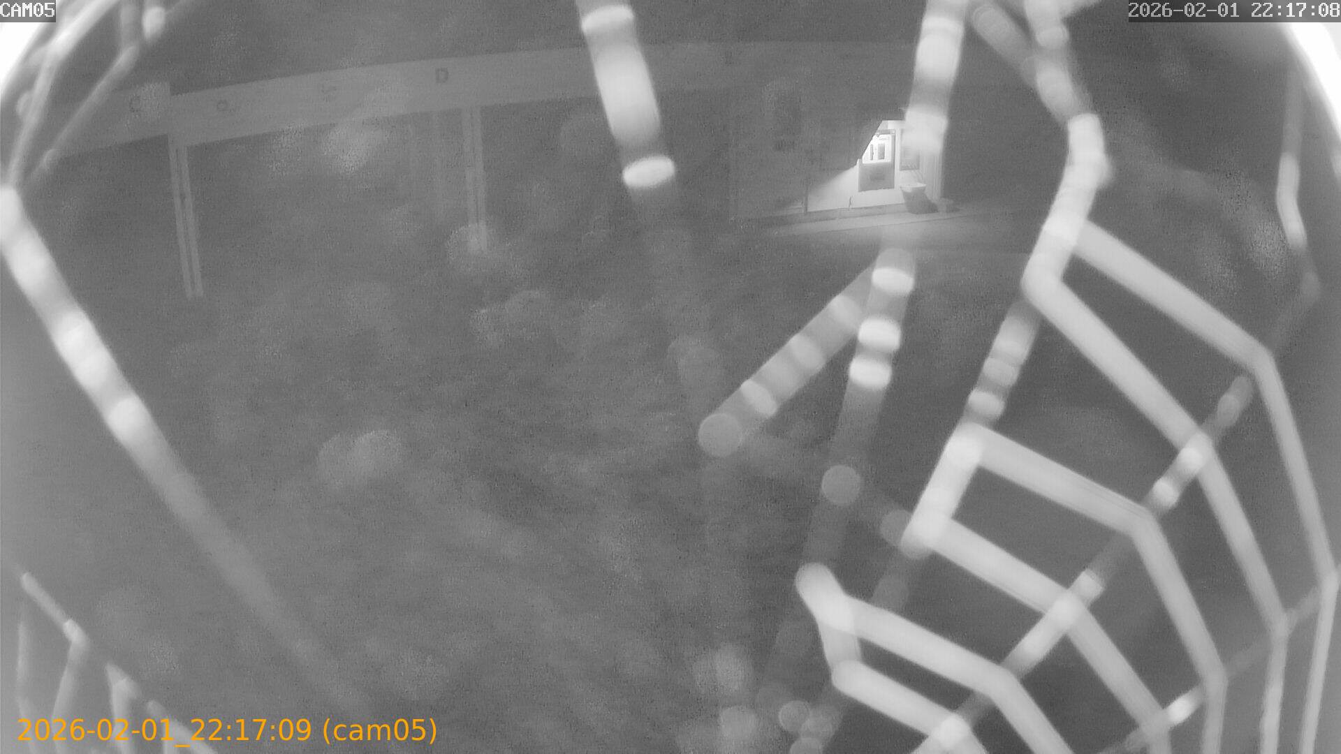 thumbnail_20260201221709