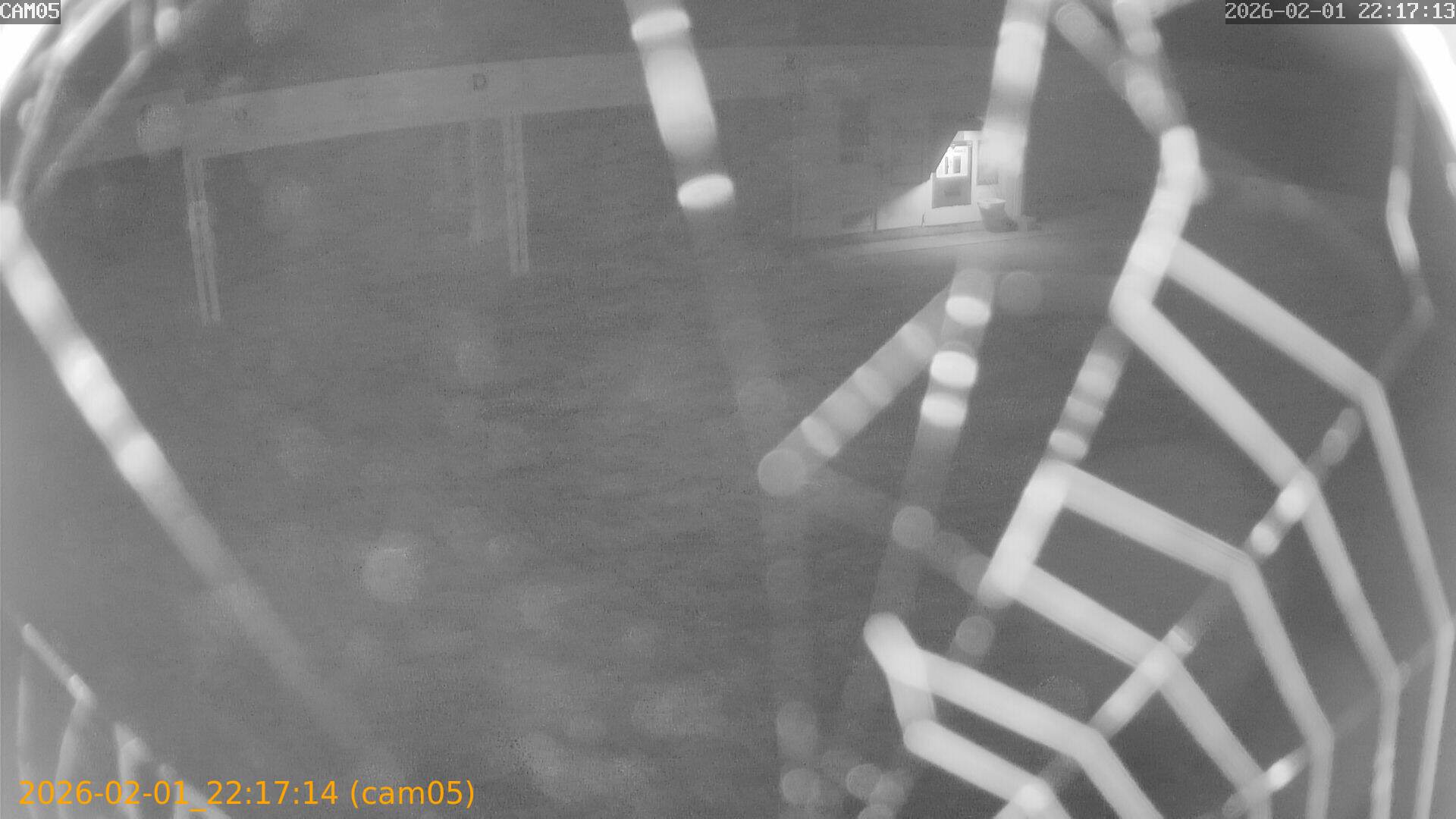 thumbnail_20260201221714