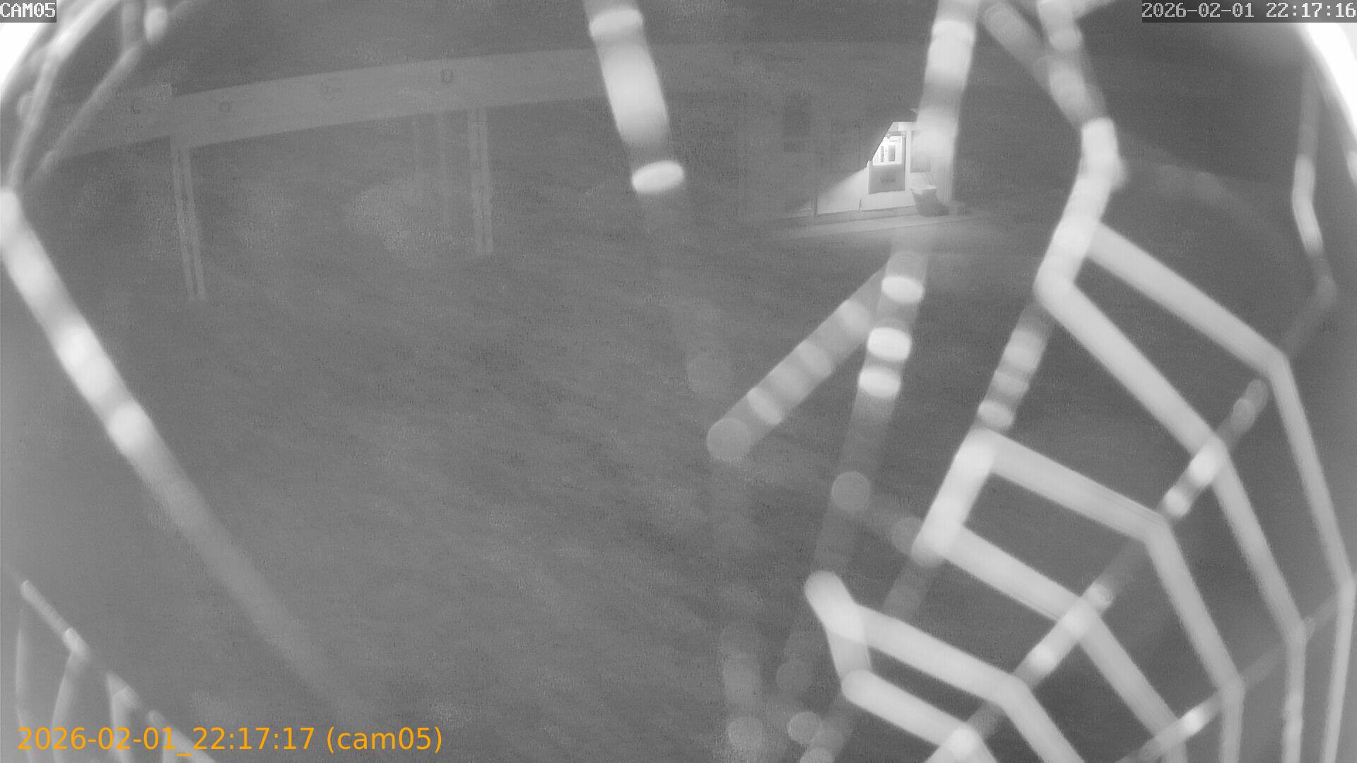 thumbnail_20260201221717