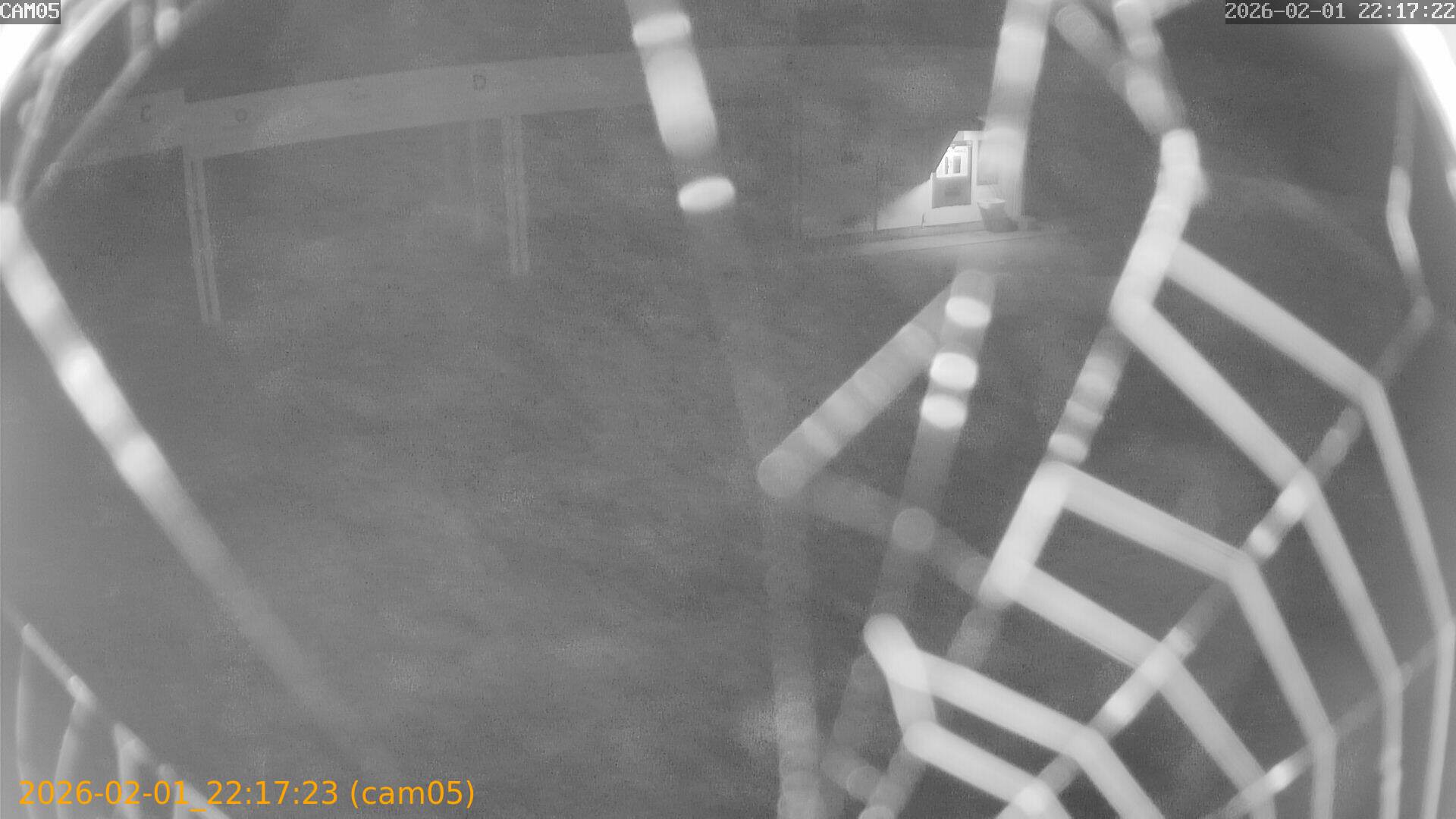 thumbnail_20260201221723