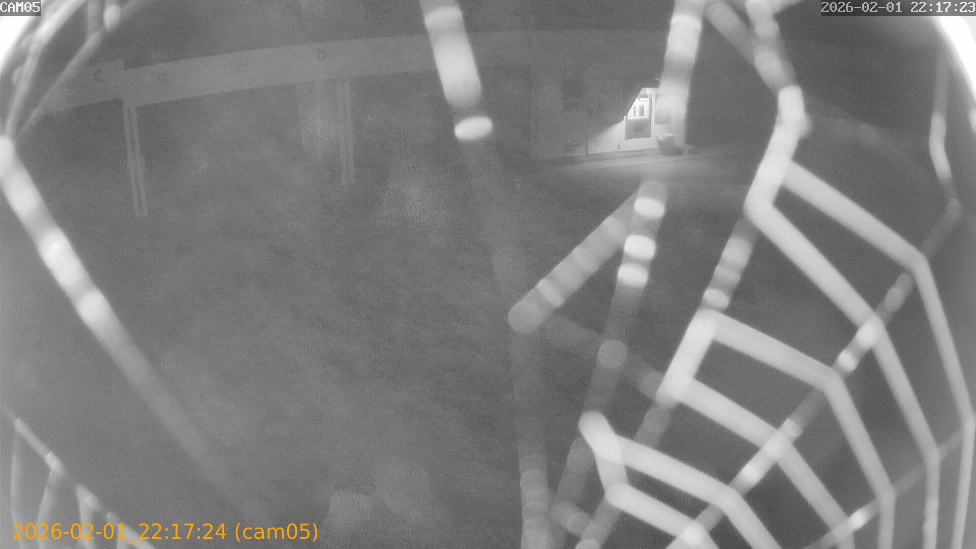 thumbnail_20260201221724