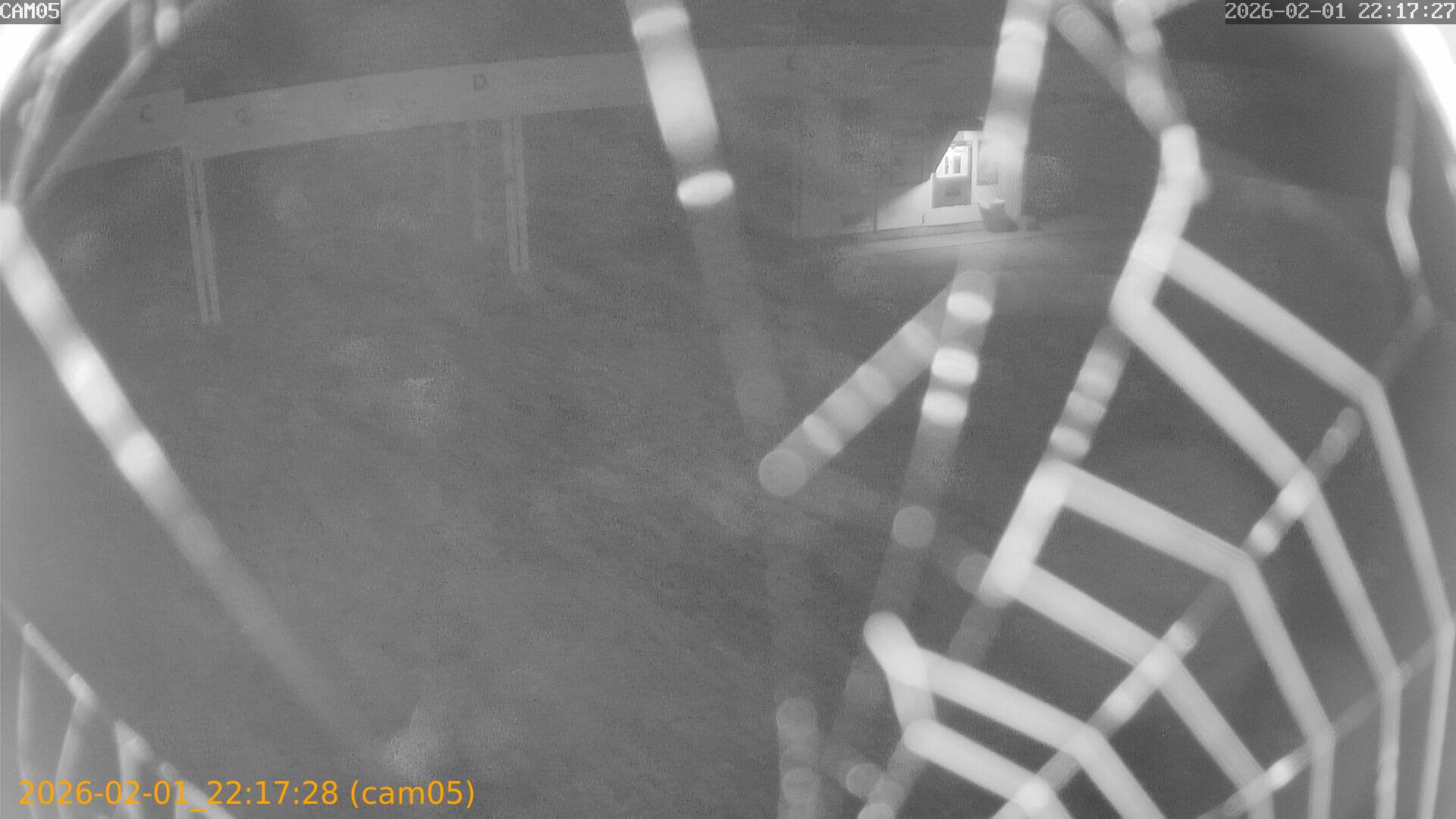 thumbnail_20260201221728