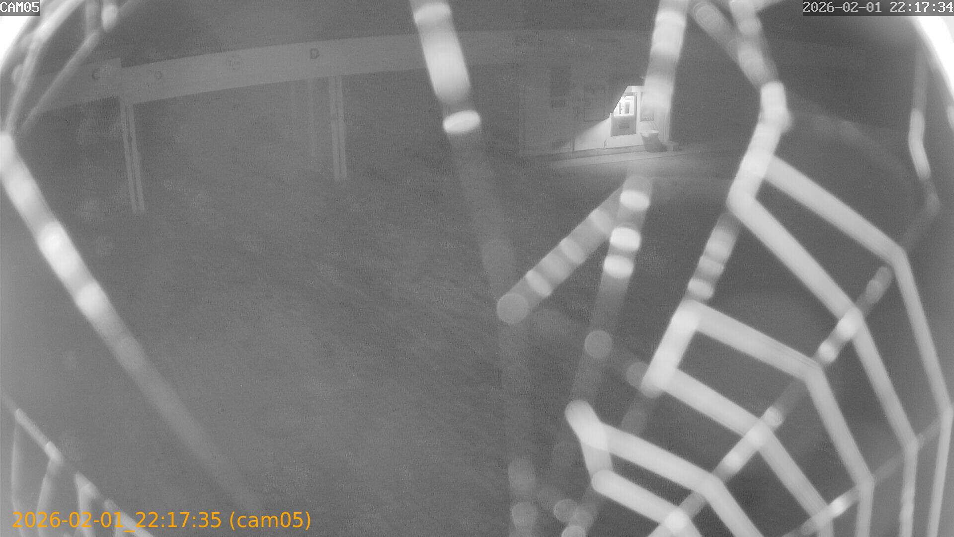 thumbnail_20260201221735