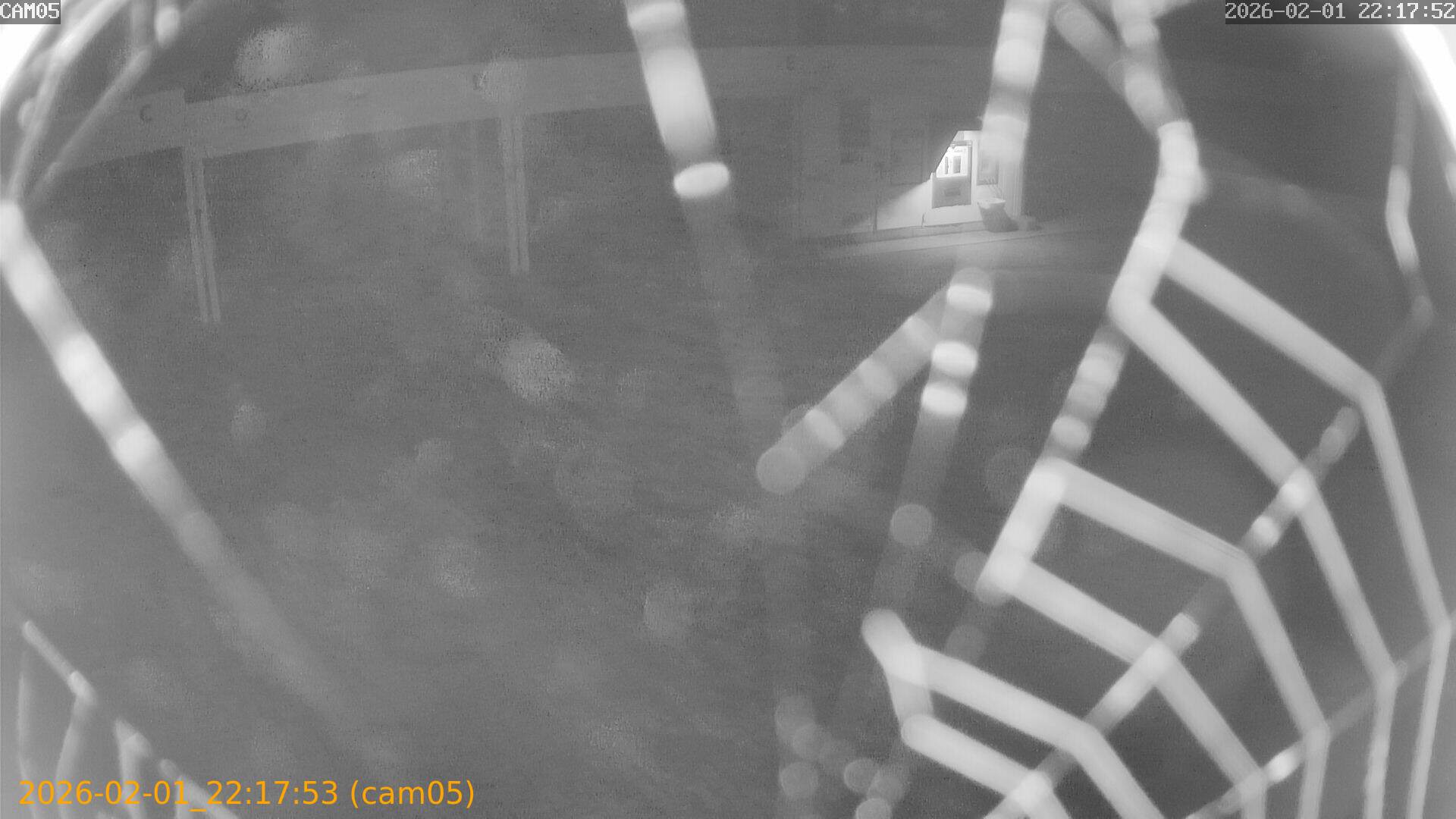 thumbnail_20260201221753