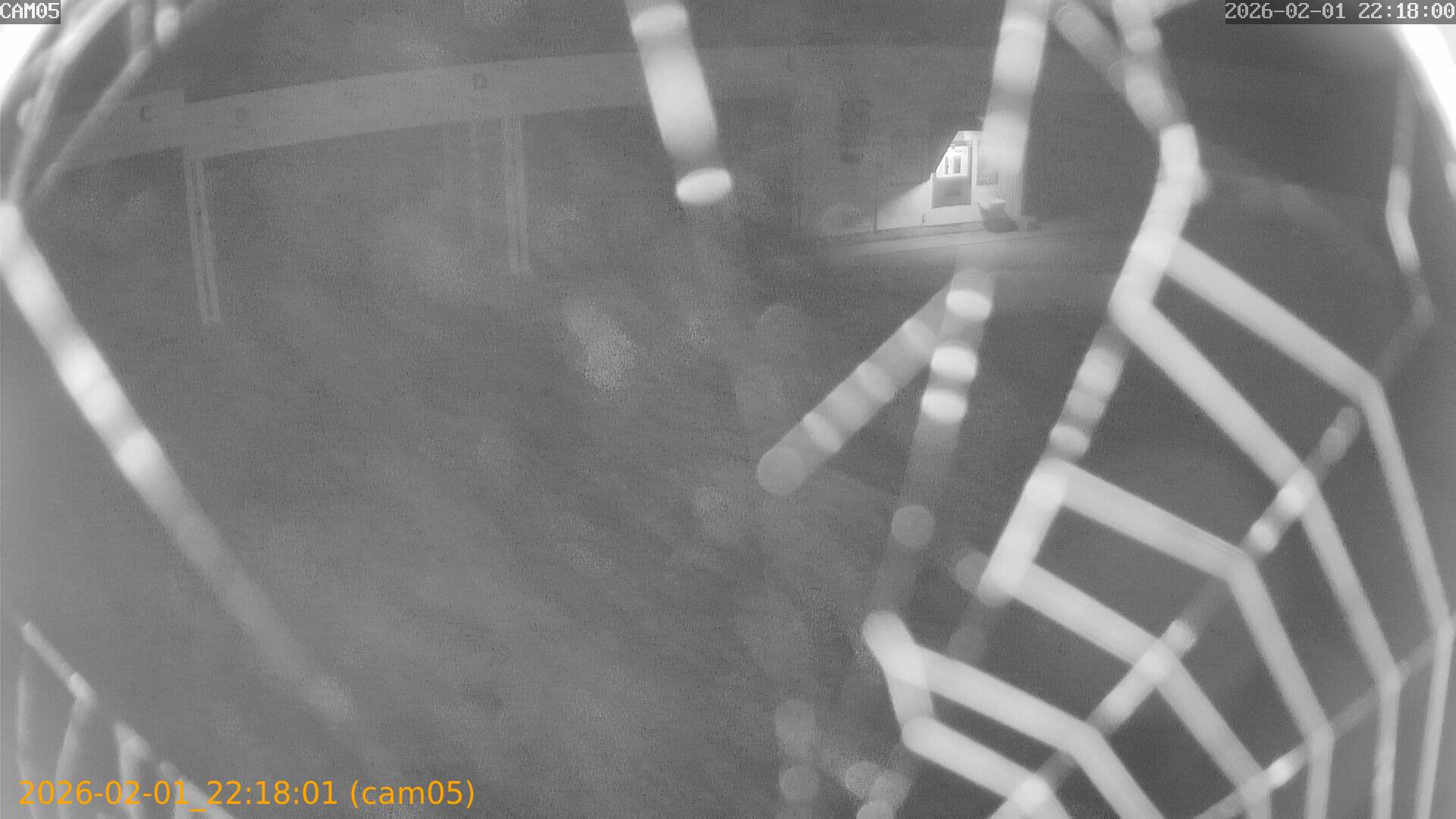 thumbnail_20260201221801