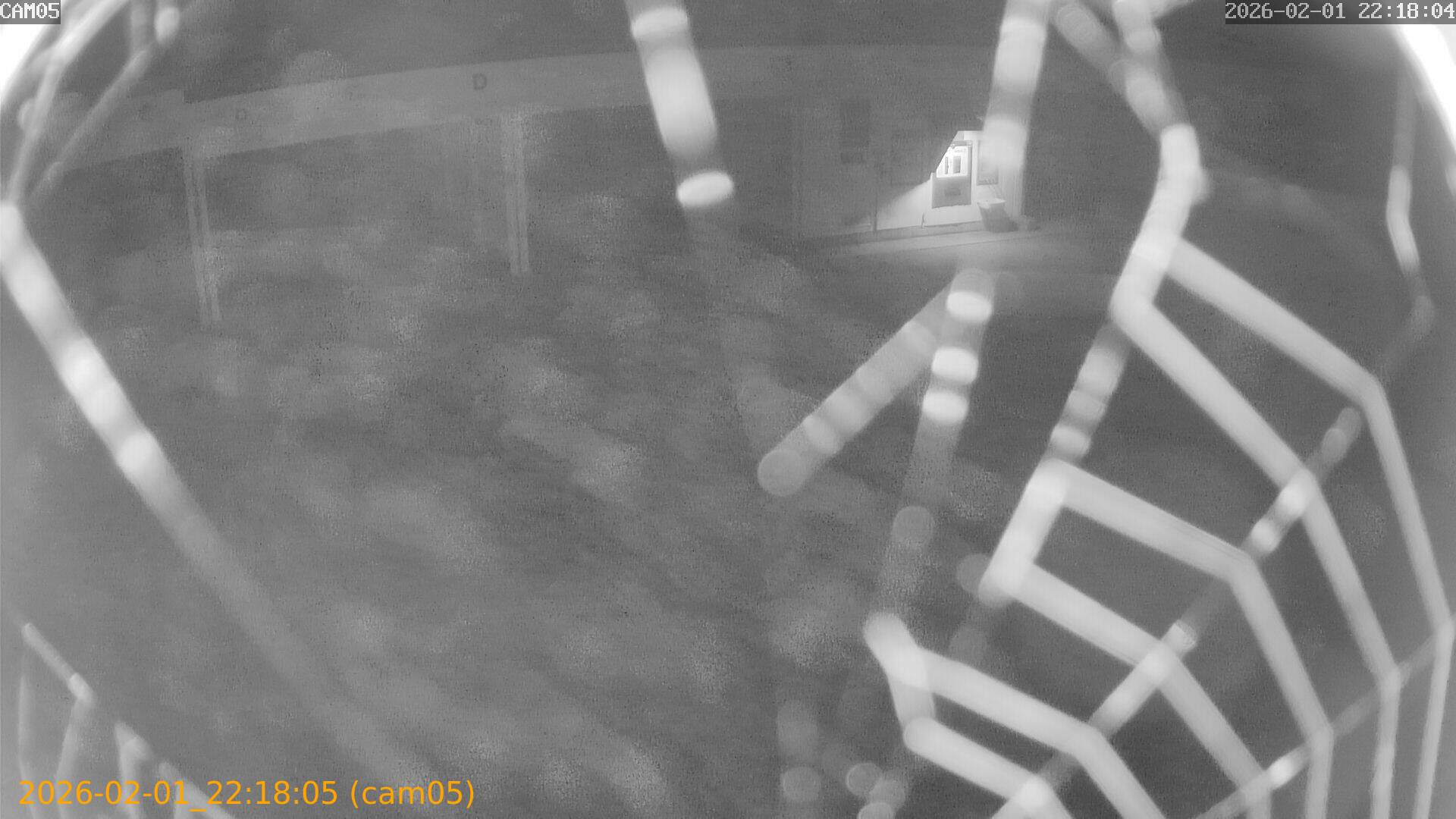 thumbnail_20260201221805