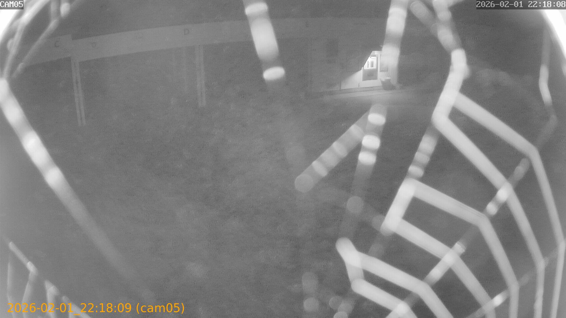 thumbnail_20260201221809