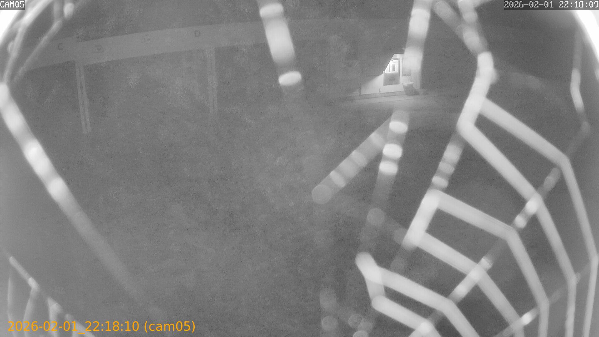 thumbnail_20260201221810