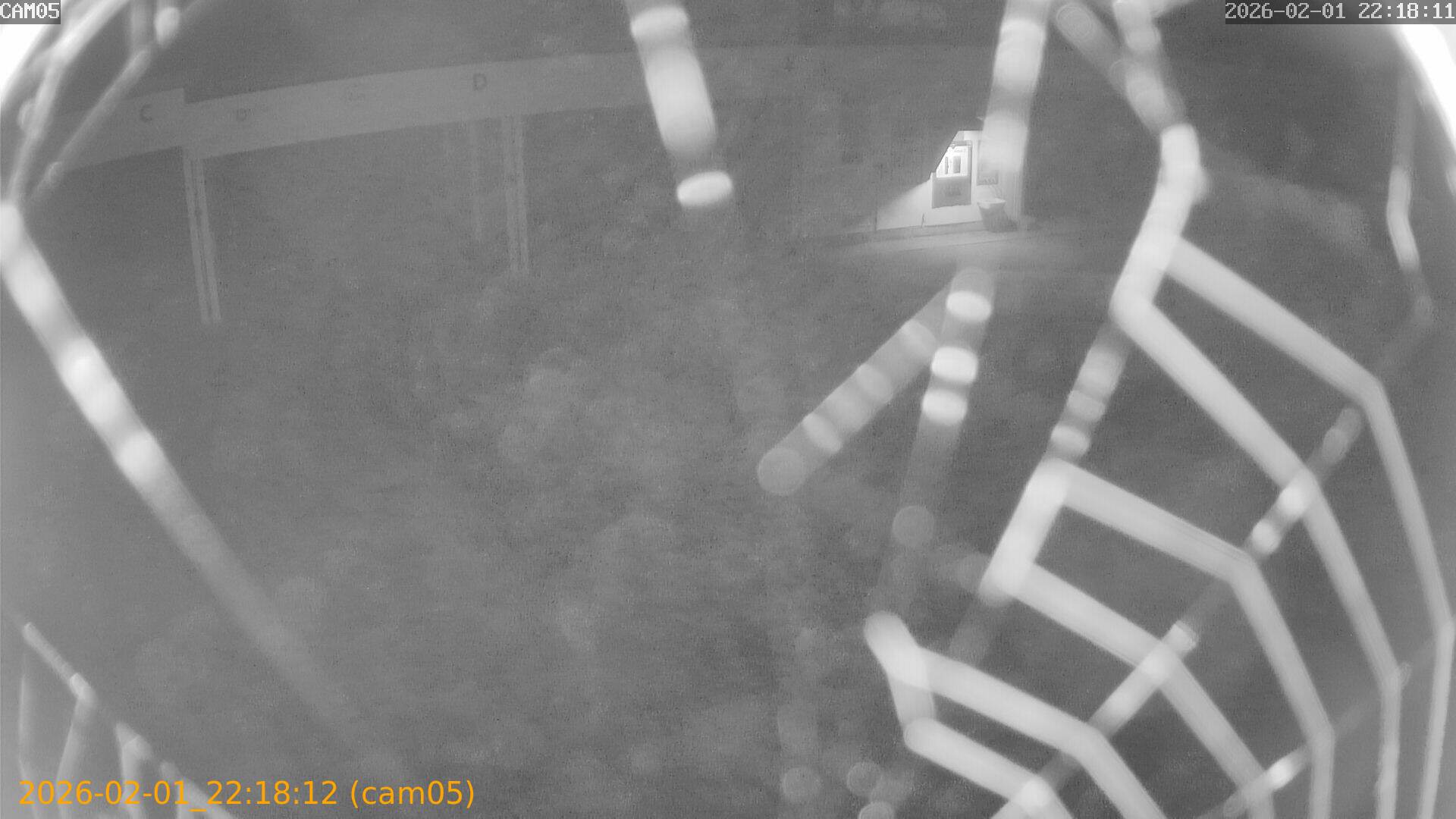 thumbnail_20260201221812