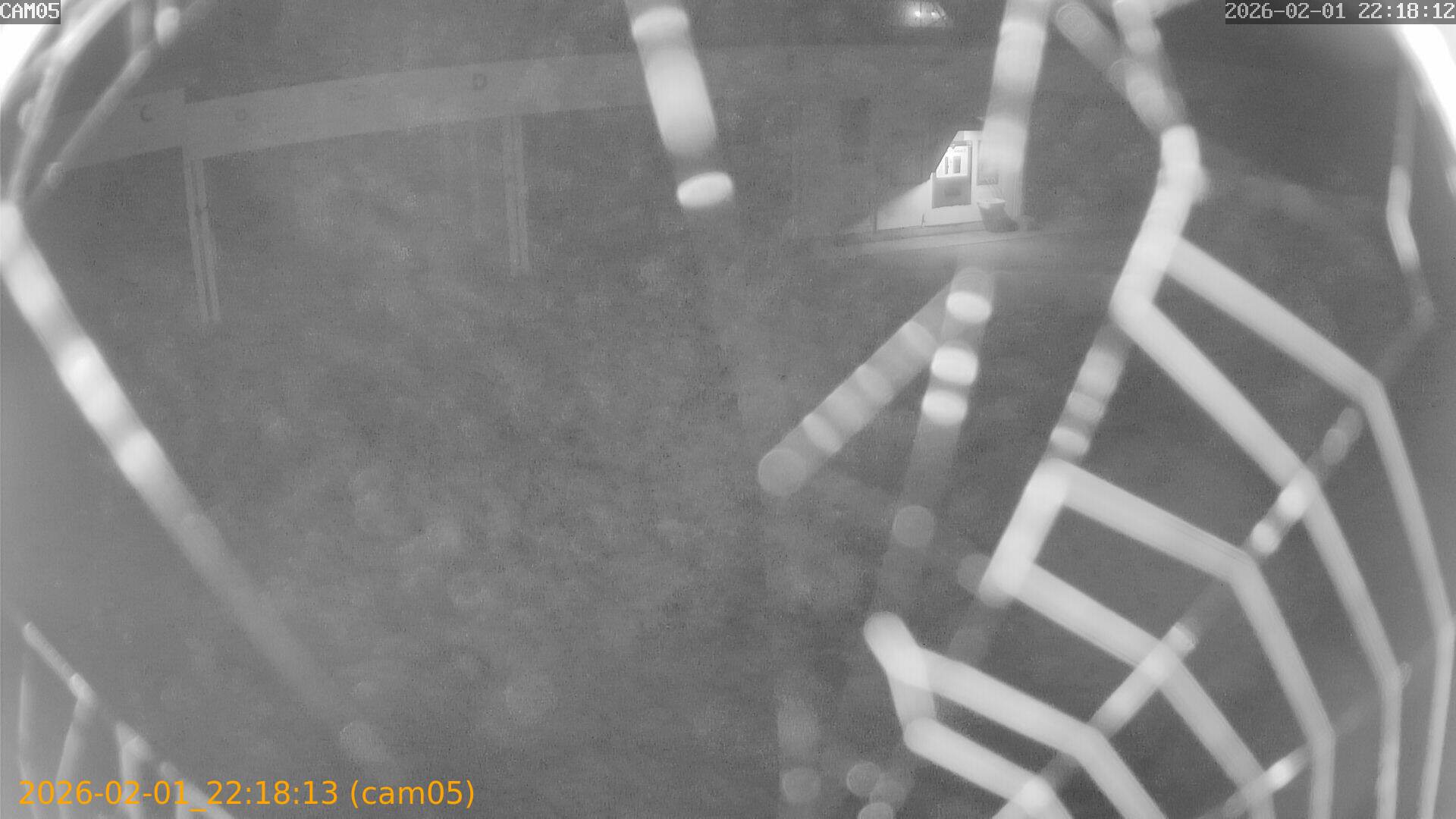 thumbnail_20260201221813