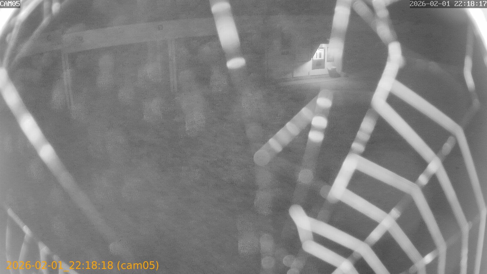 thumbnail_20260201221818