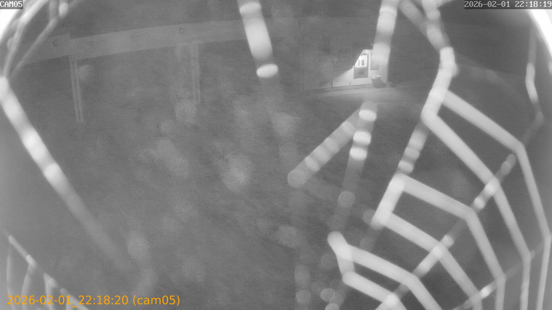 thumbnail_20260201221820