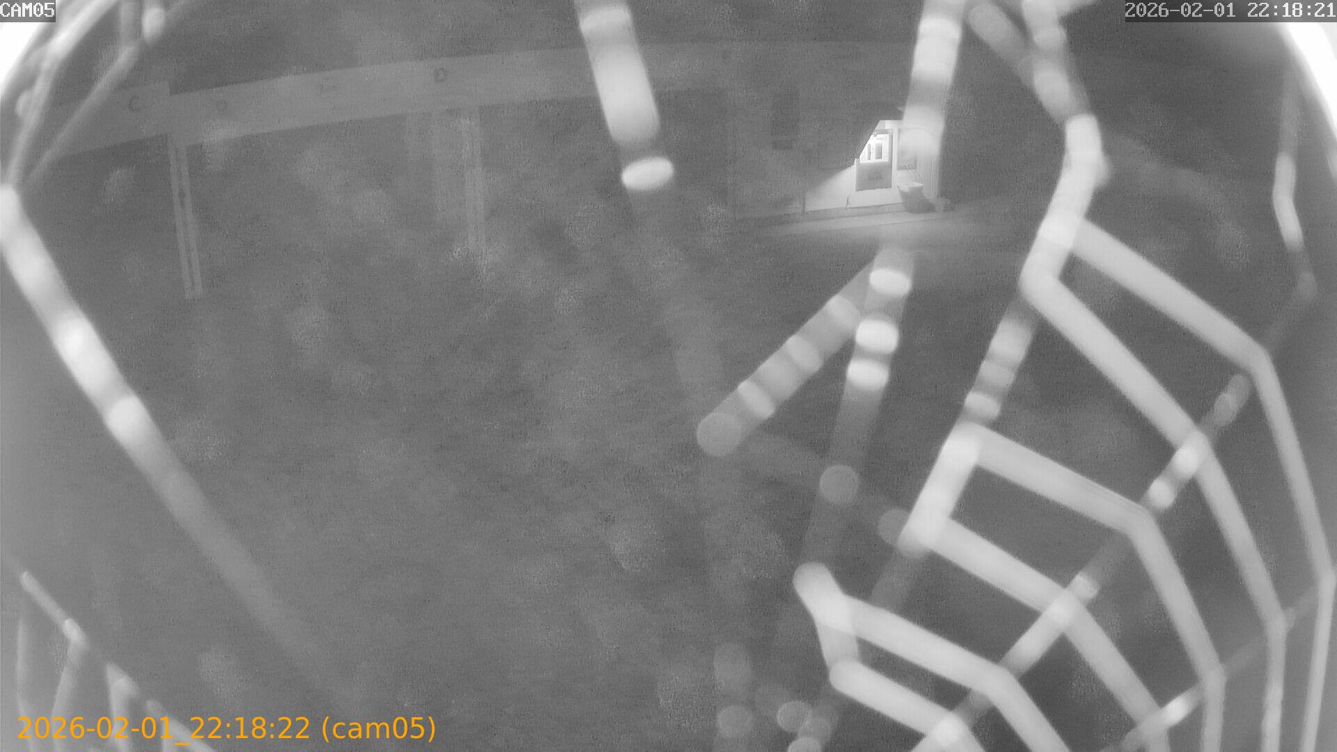 thumbnail_20260201221822