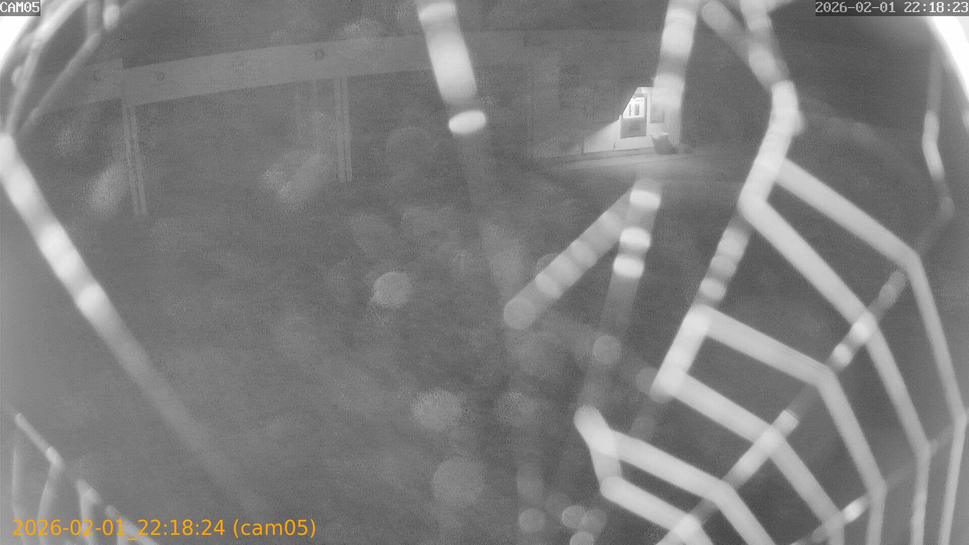 thumbnail_20260201221824