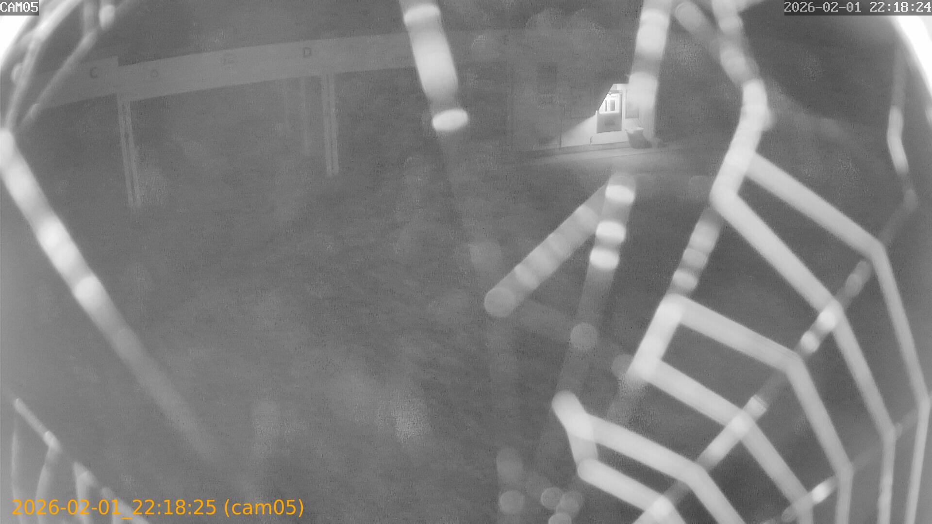 thumbnail_20260201221825