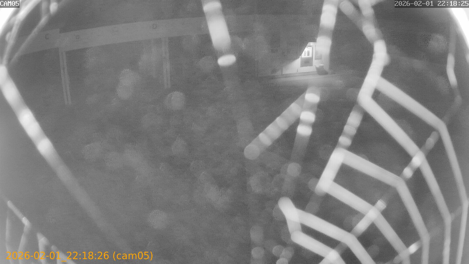 thumbnail_20260201221826