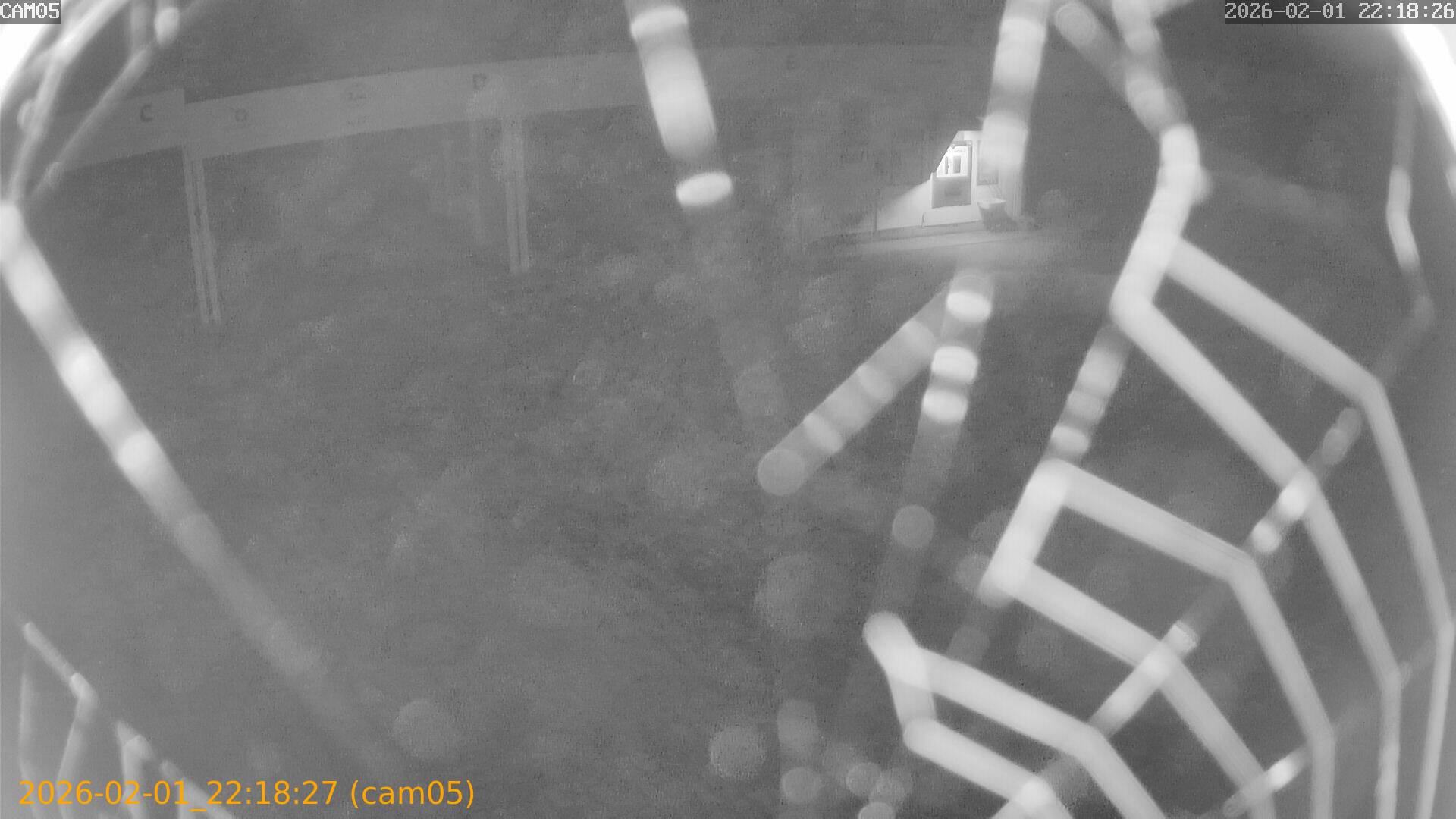 thumbnail_20260201221827