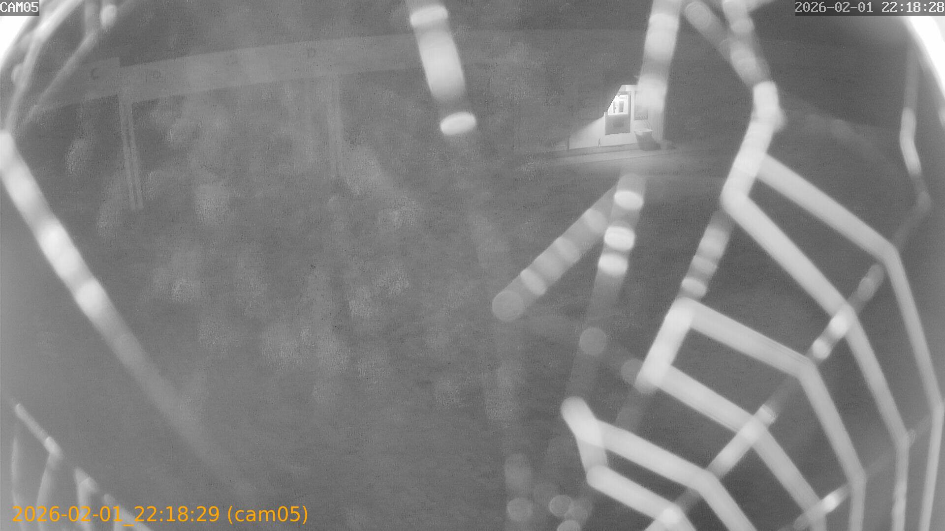 thumbnail_20260201221829