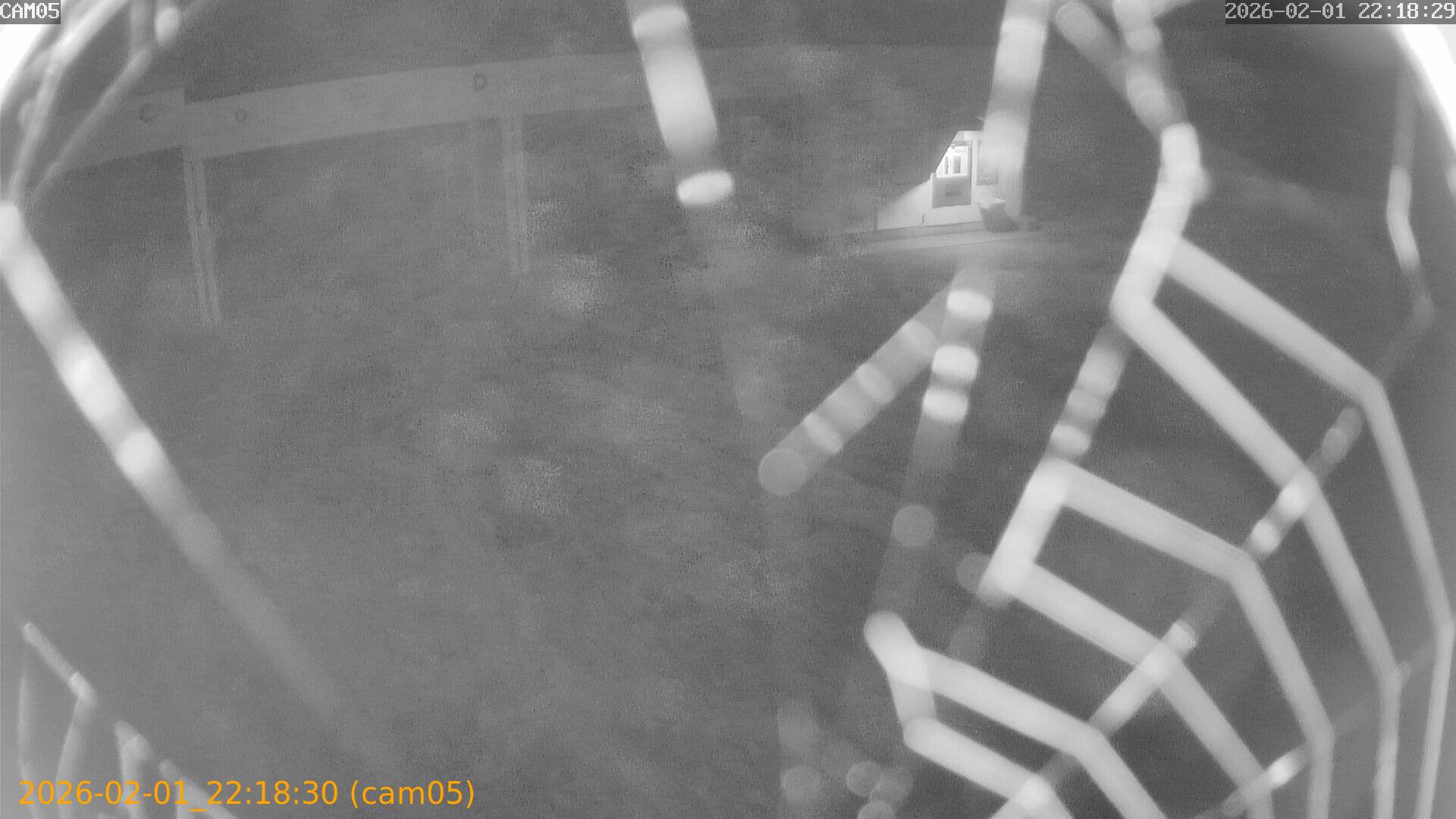 thumbnail_20260201221830