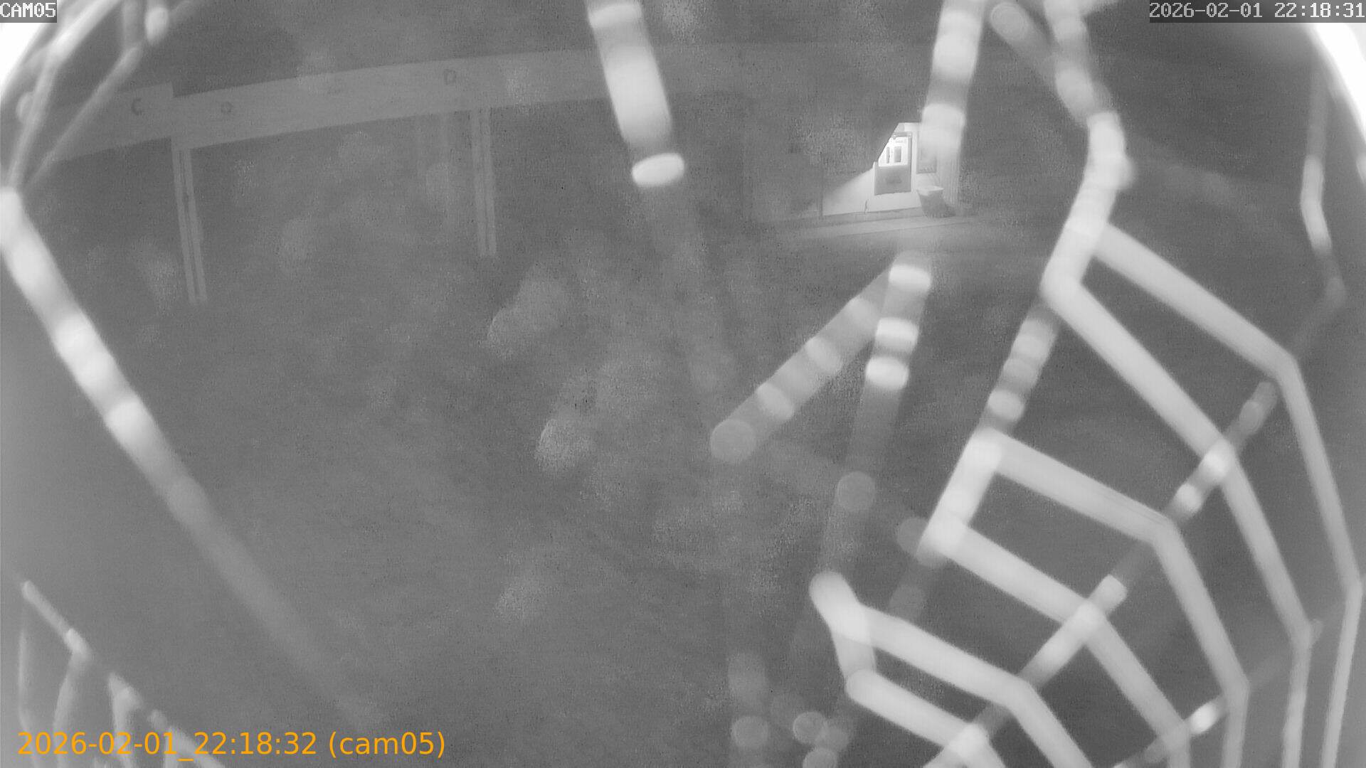 thumbnail_20260201221832