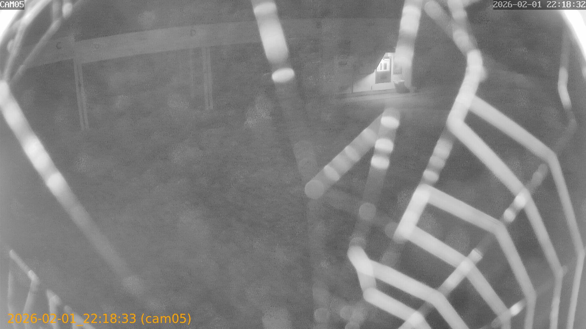 thumbnail_20260201221833