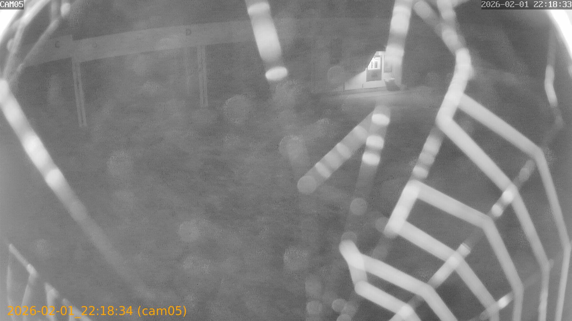 thumbnail_20260201221834