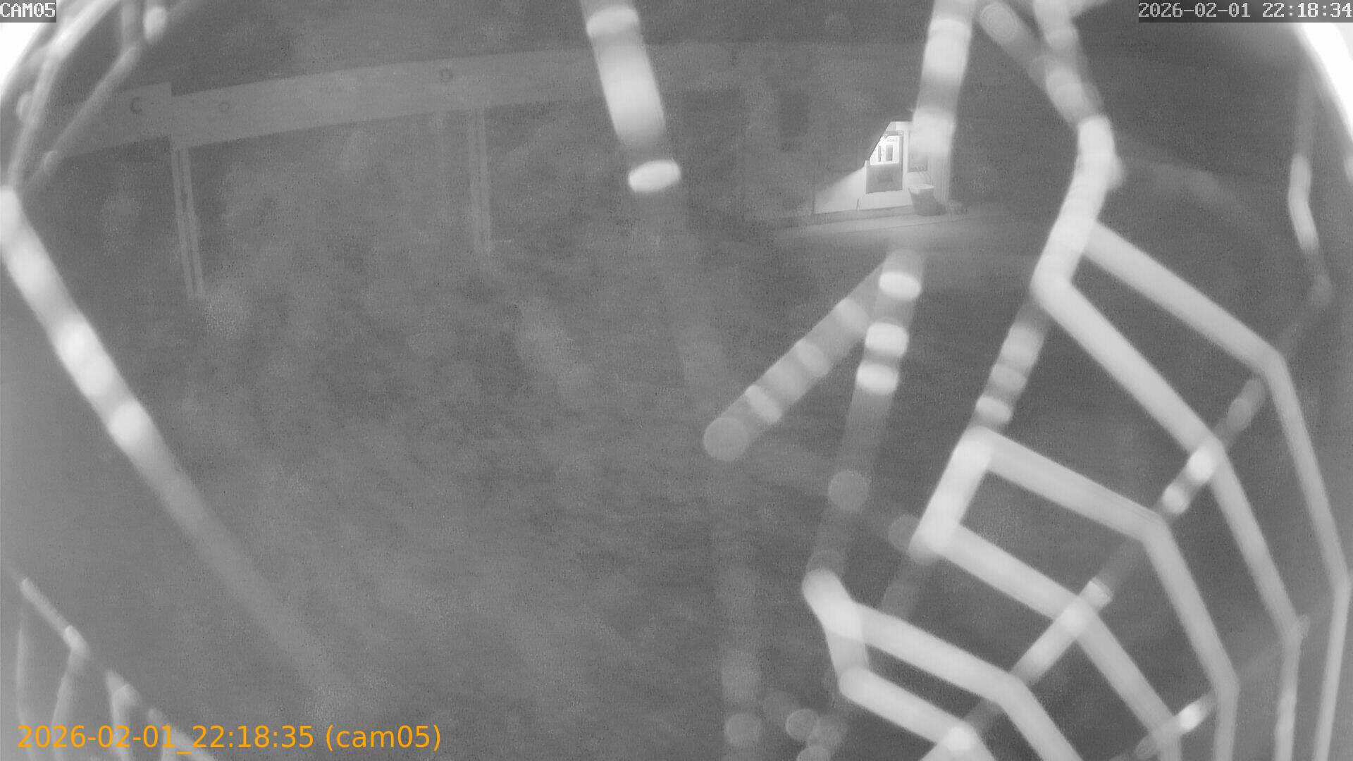 thumbnail_20260201221835