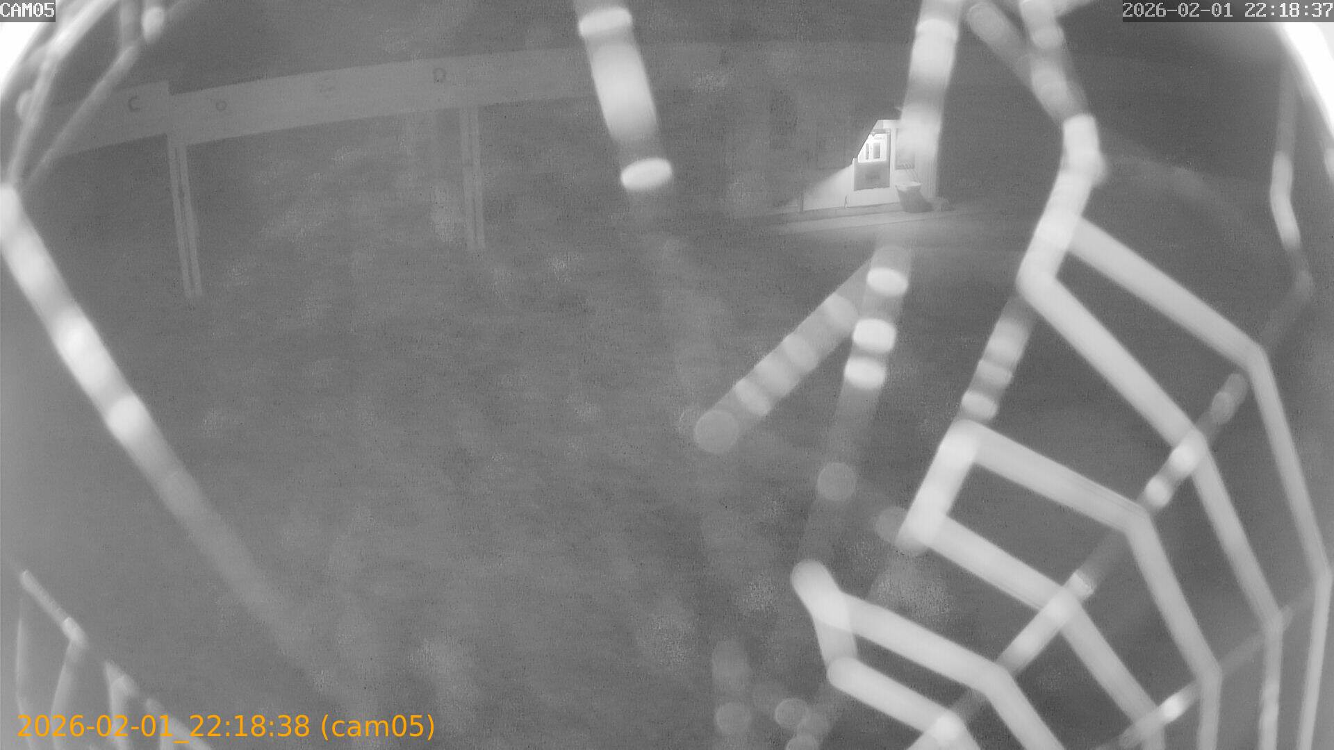 thumbnail_20260201221838