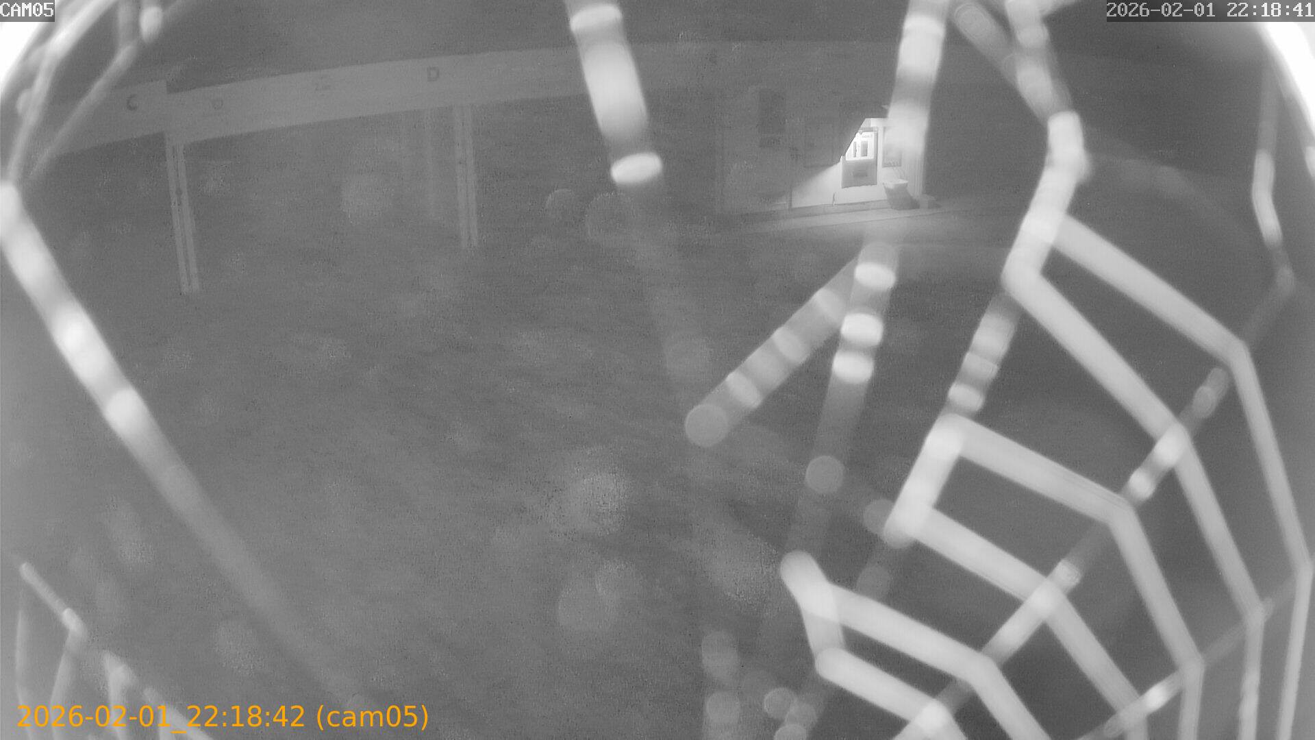 thumbnail_20260201221842