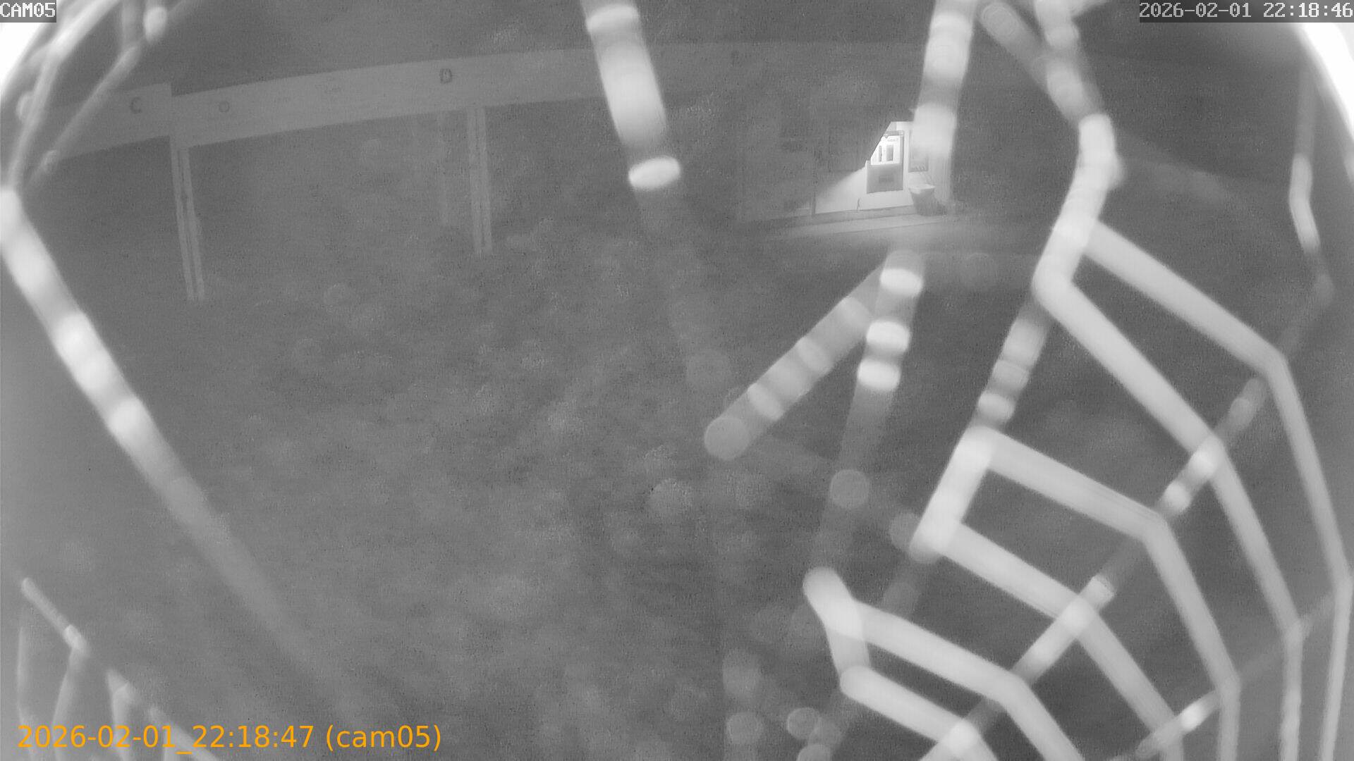 thumbnail_20260201221847