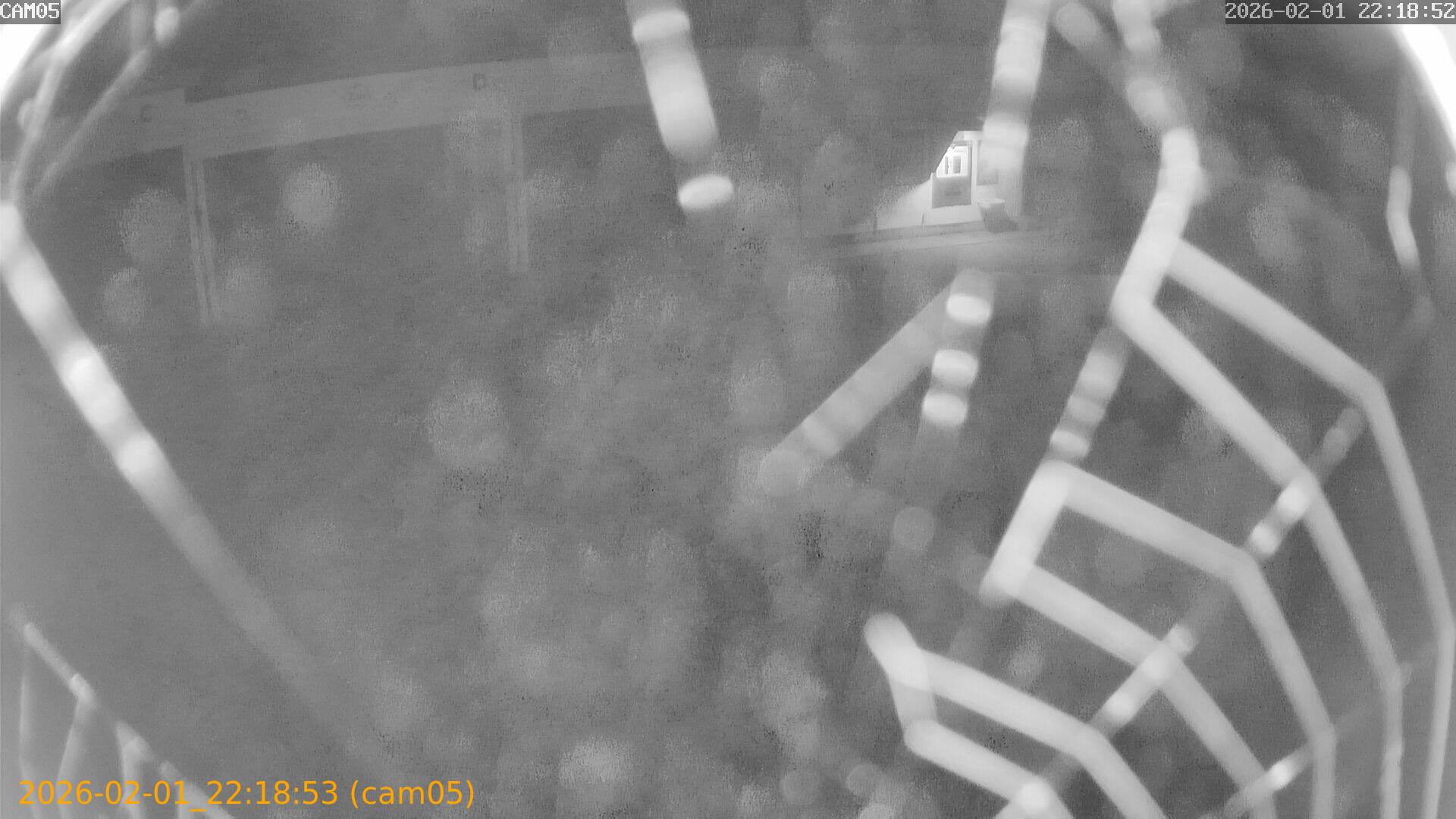 thumbnail_20260201221853