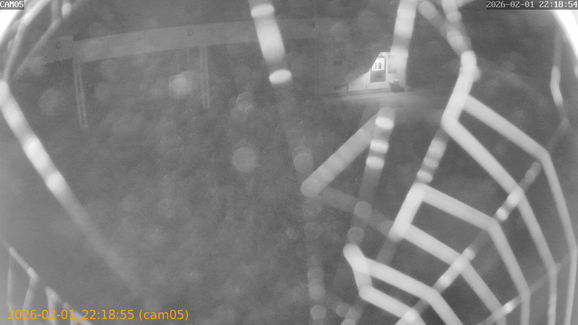 thumbnail_20260201221855