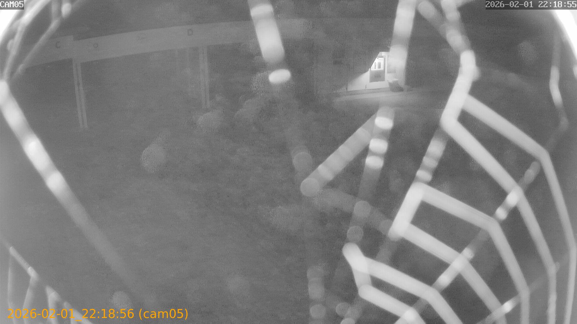 thumbnail_20260201221856