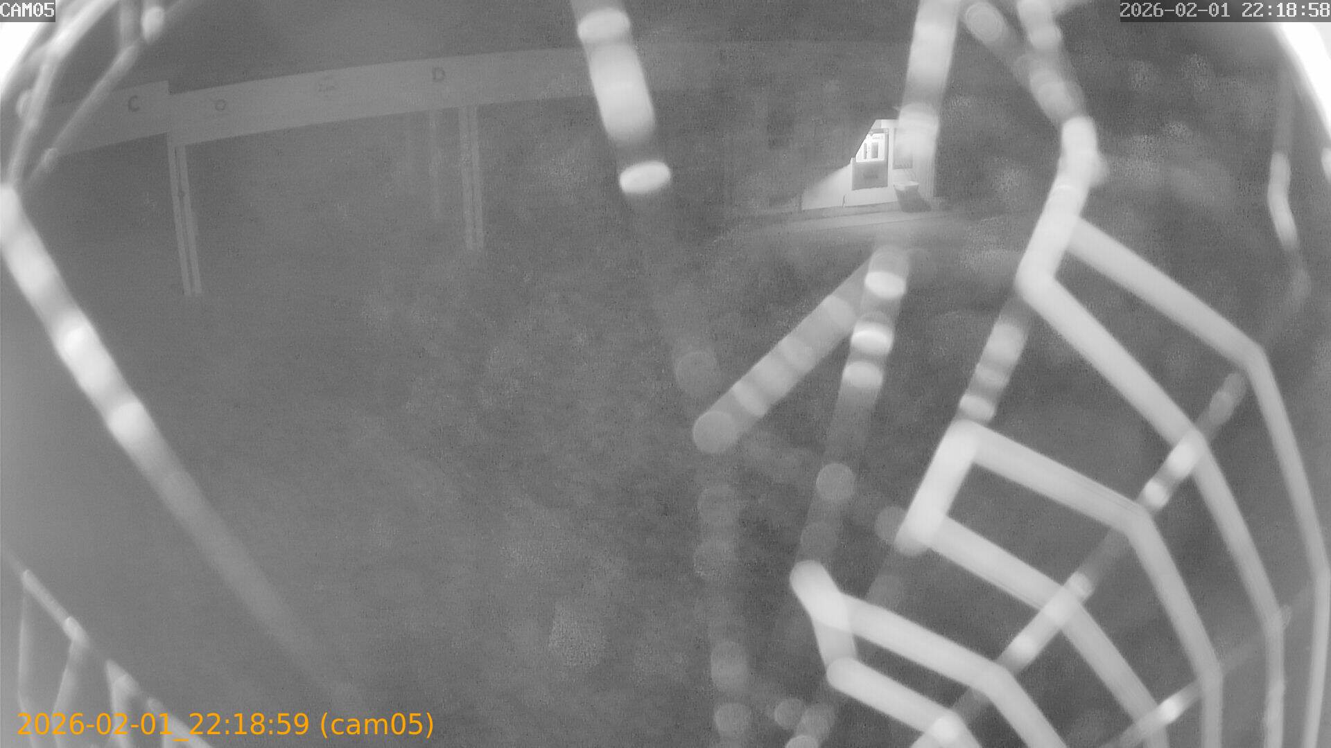 thumbnail_20260201221859