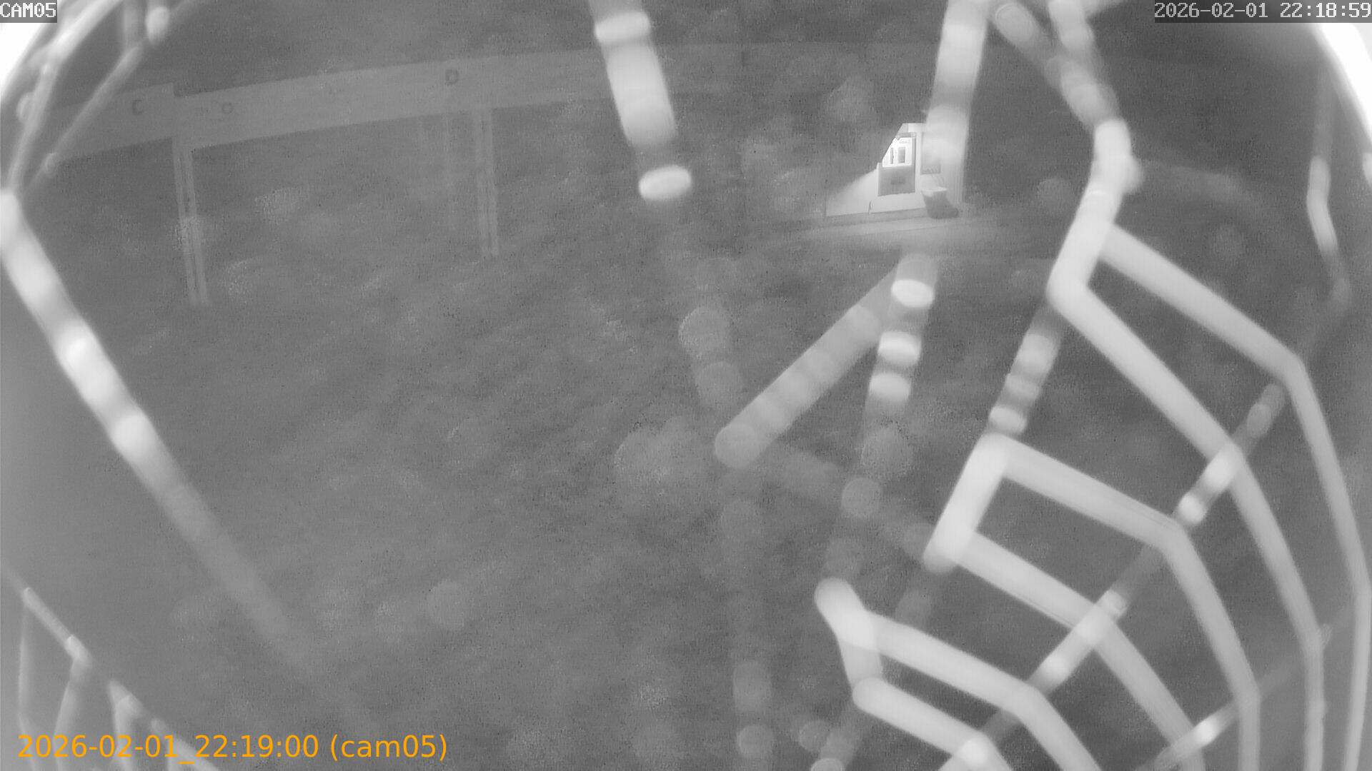 thumbnail_20260201221900